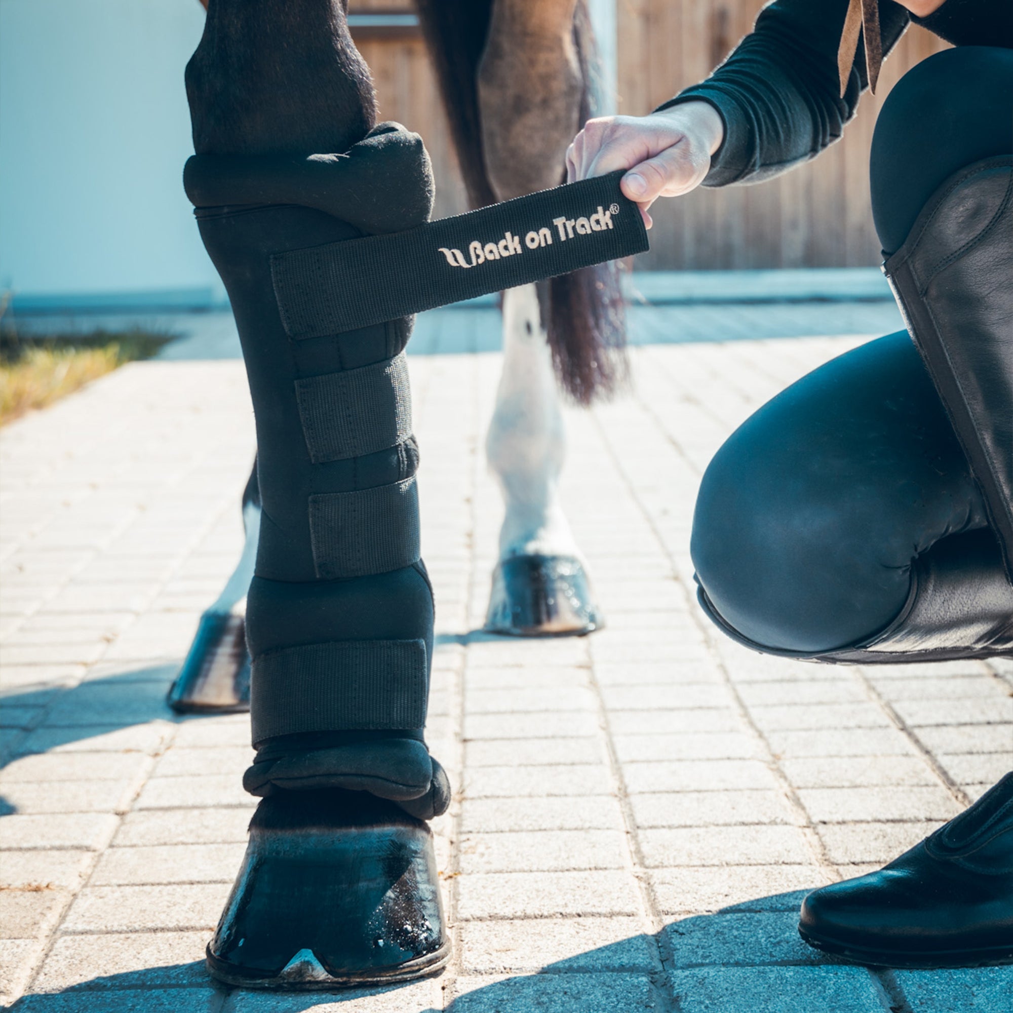 Quick Wrap Royal (Pair)