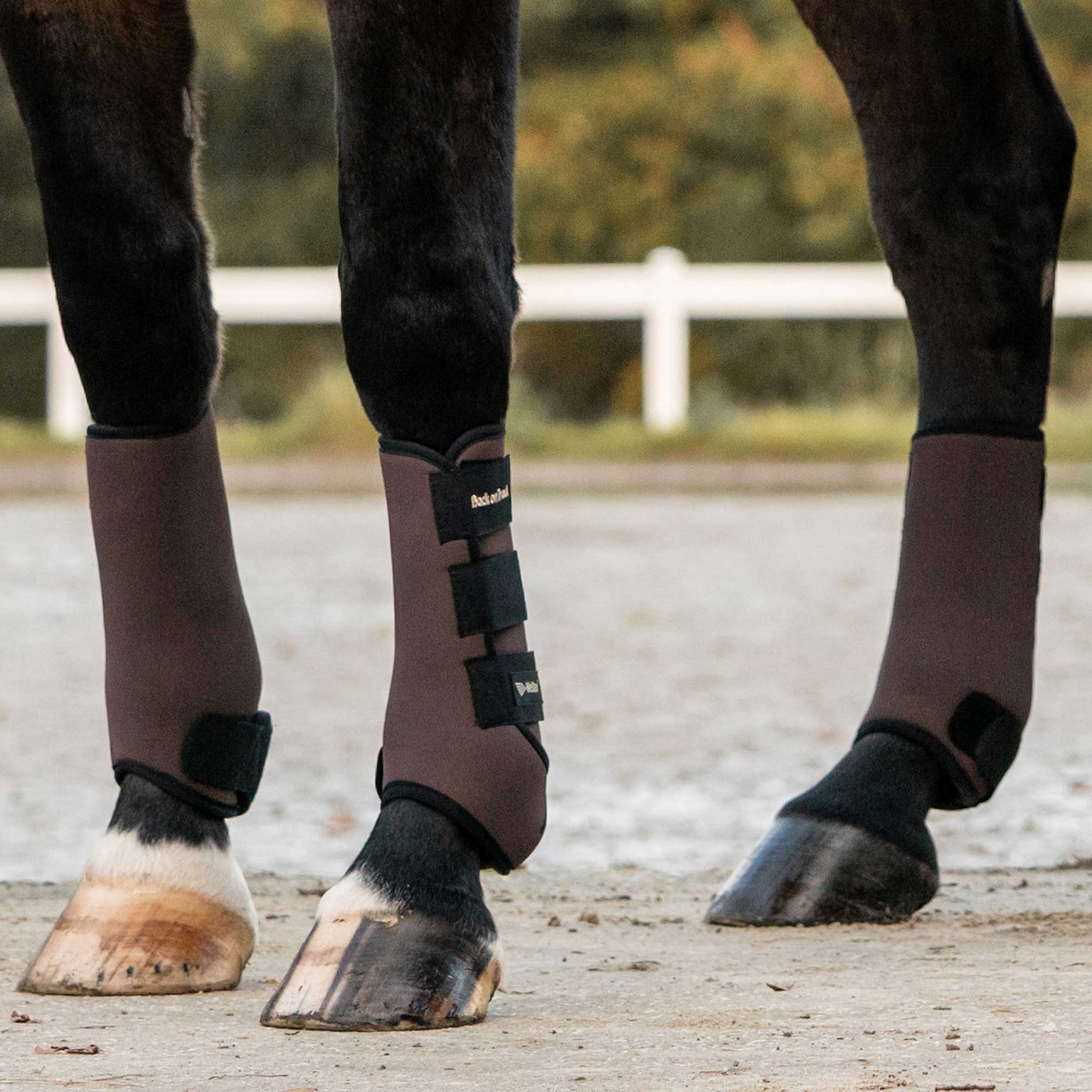 "Opal" Exercise Boots, Front Legs