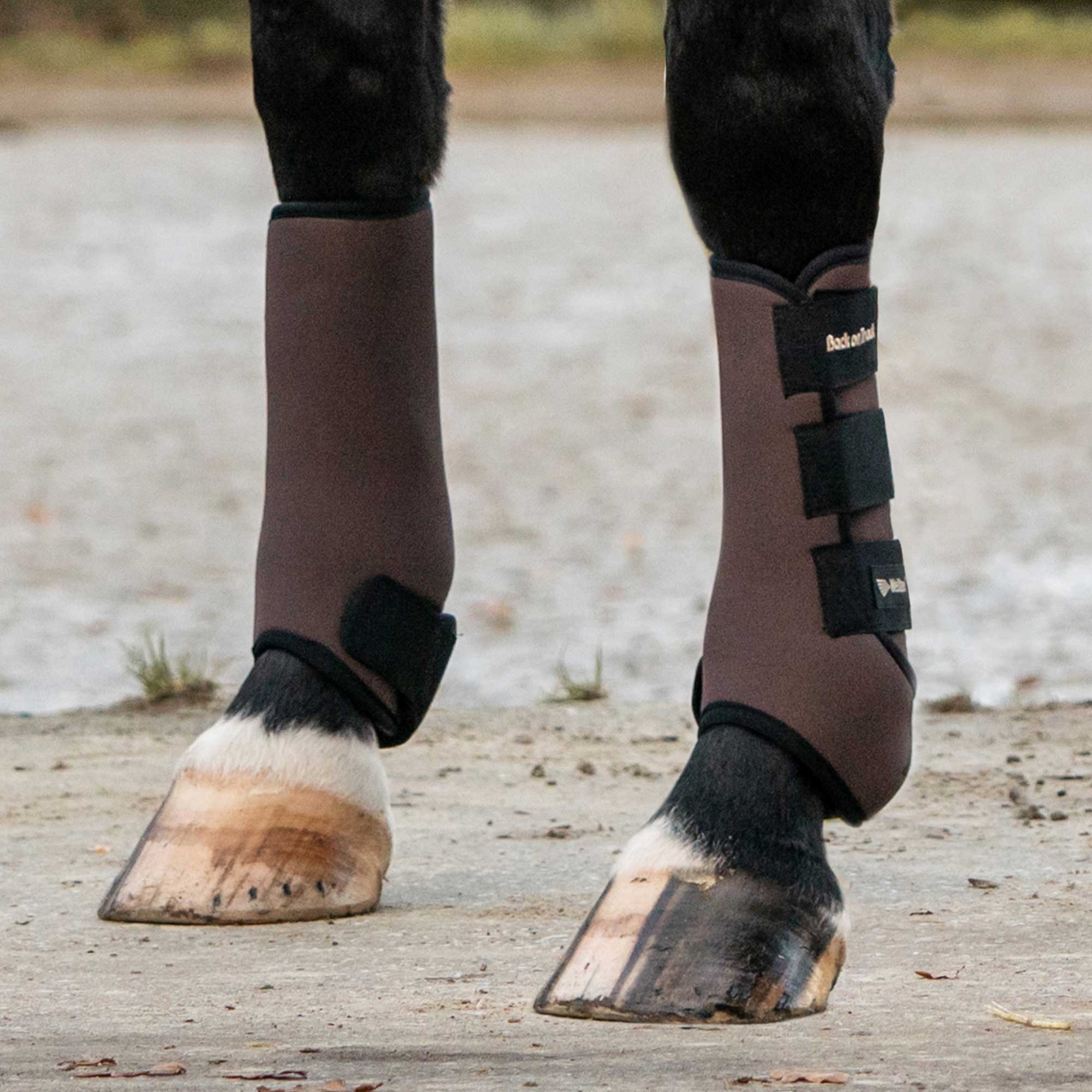 "Opal" Exercise Boots, Front Legs