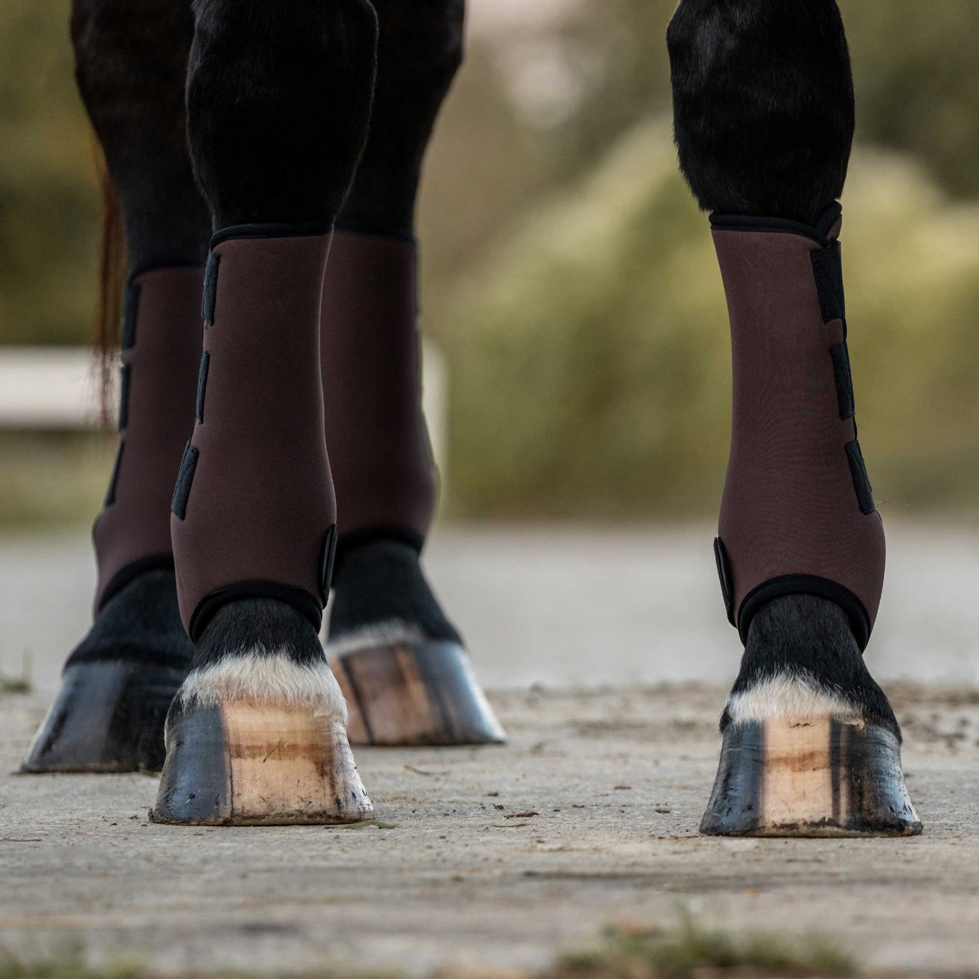 "Opal" Exercise Boots, Front Legs