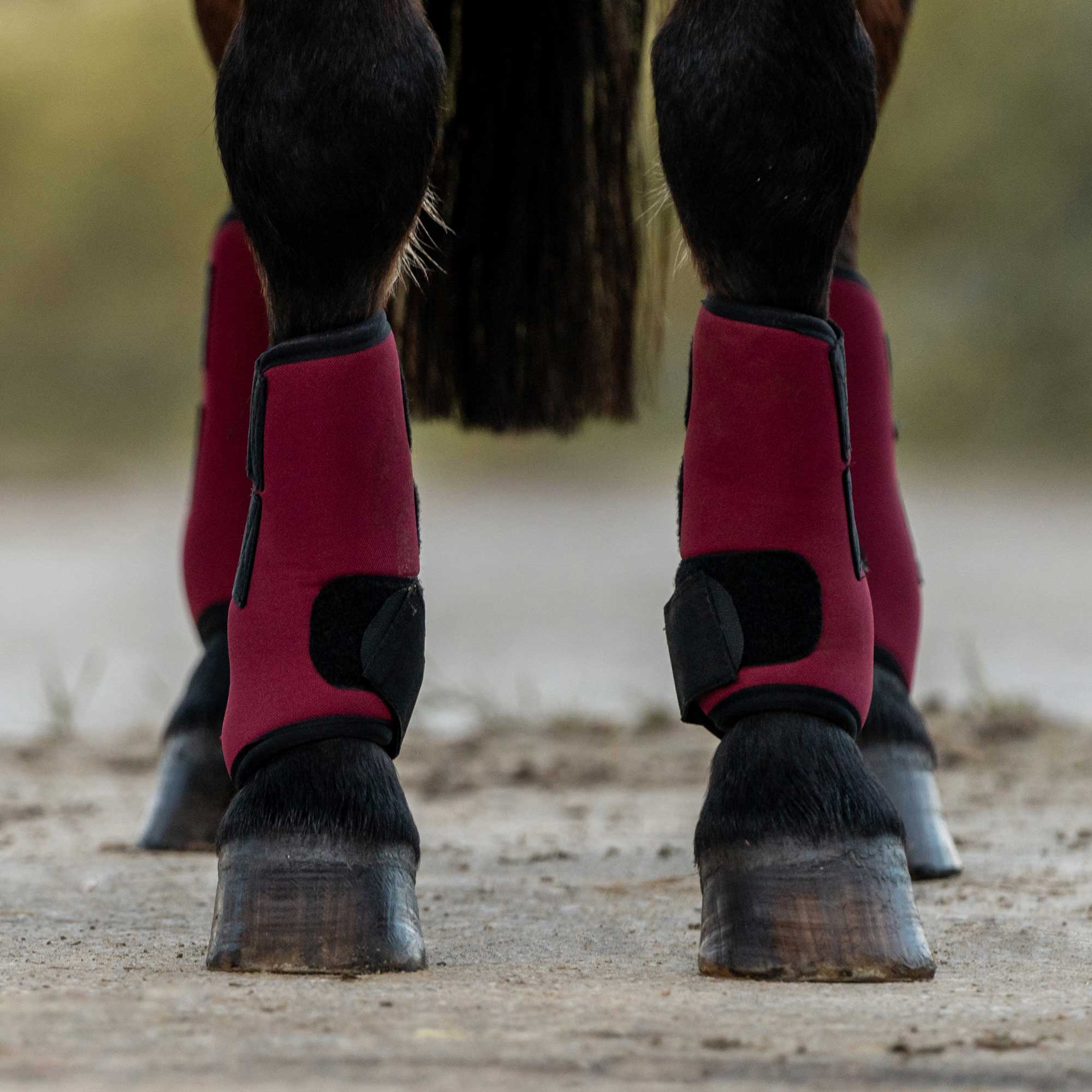 "Opal" Exercise Boots, Front Legs