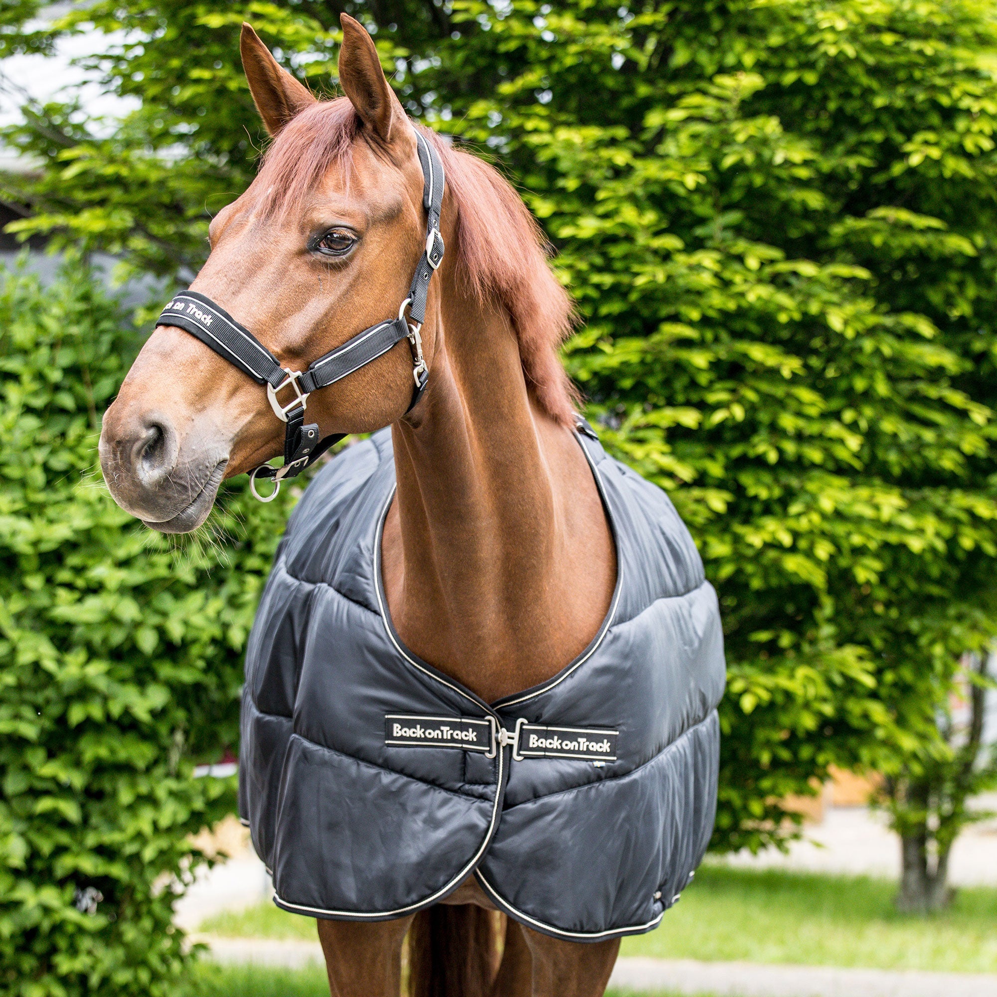 "Rhyolite" Insulated Liner