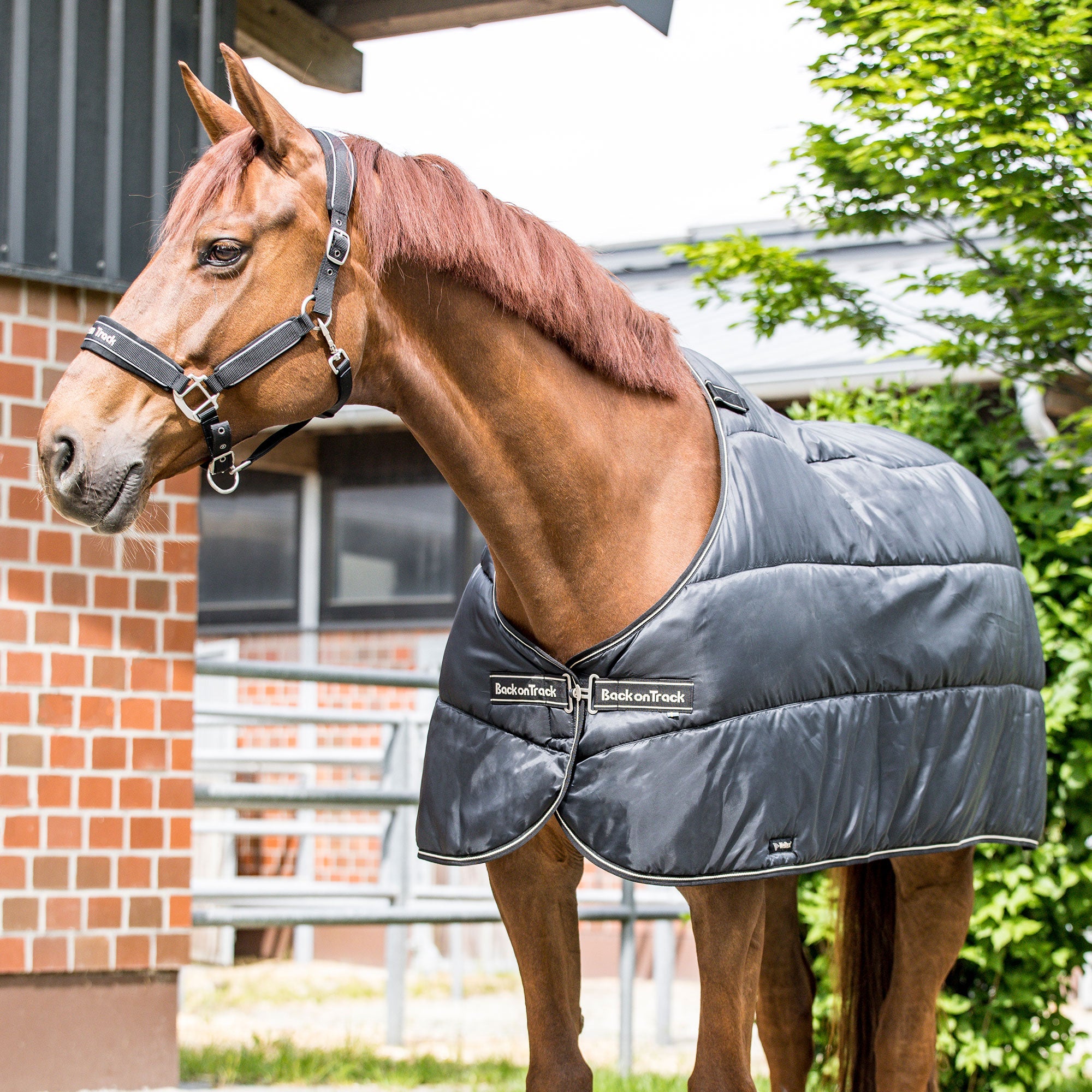 "Rhyolite" Insulated Liner