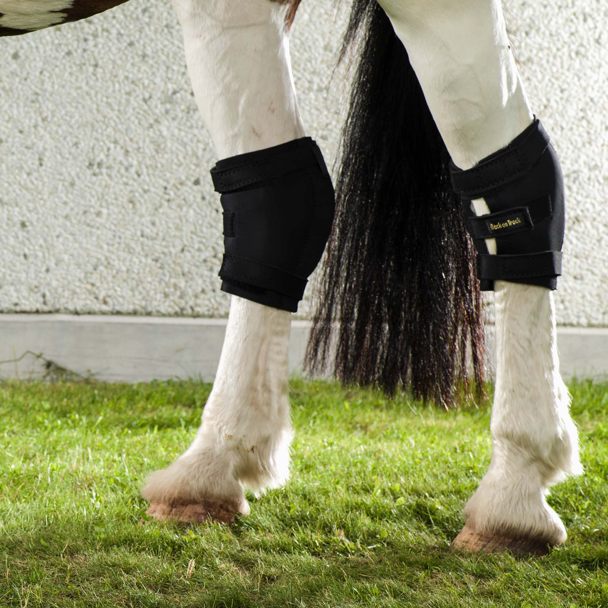 Hasskydd, vänster - Back on Track Sverige (5300230946971)