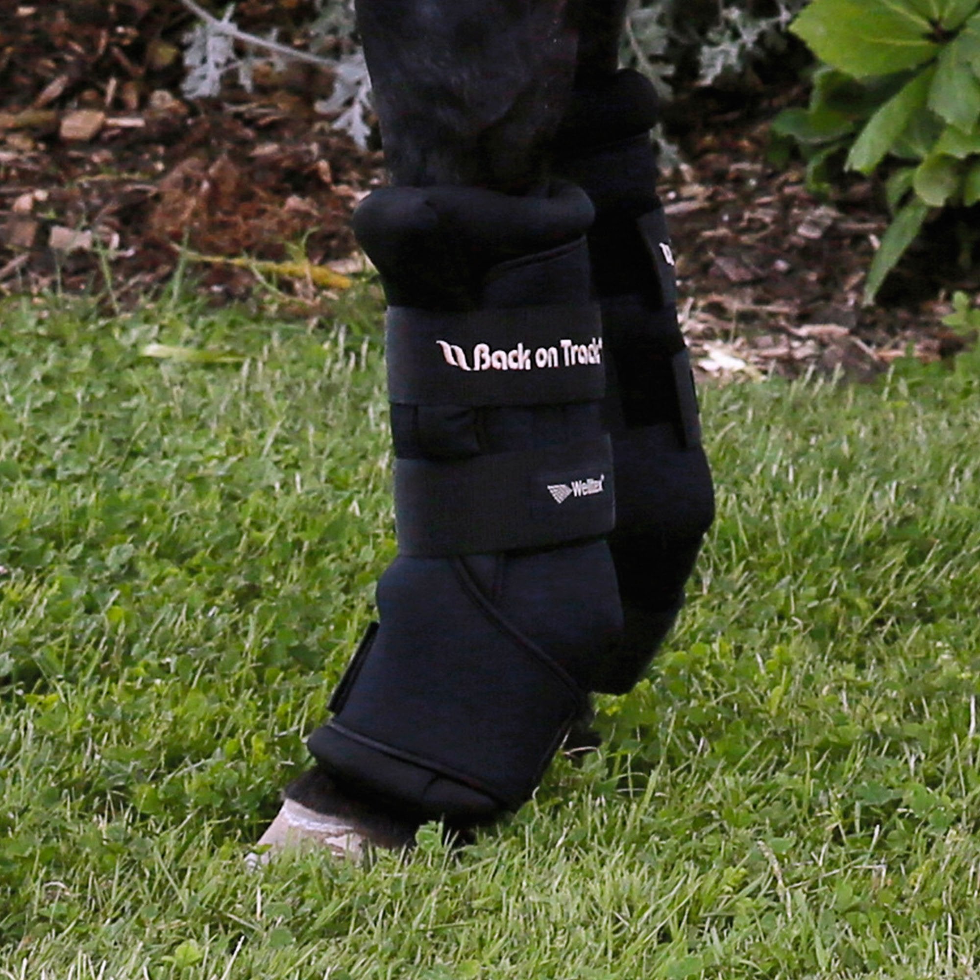 Neoprene Layer Royal