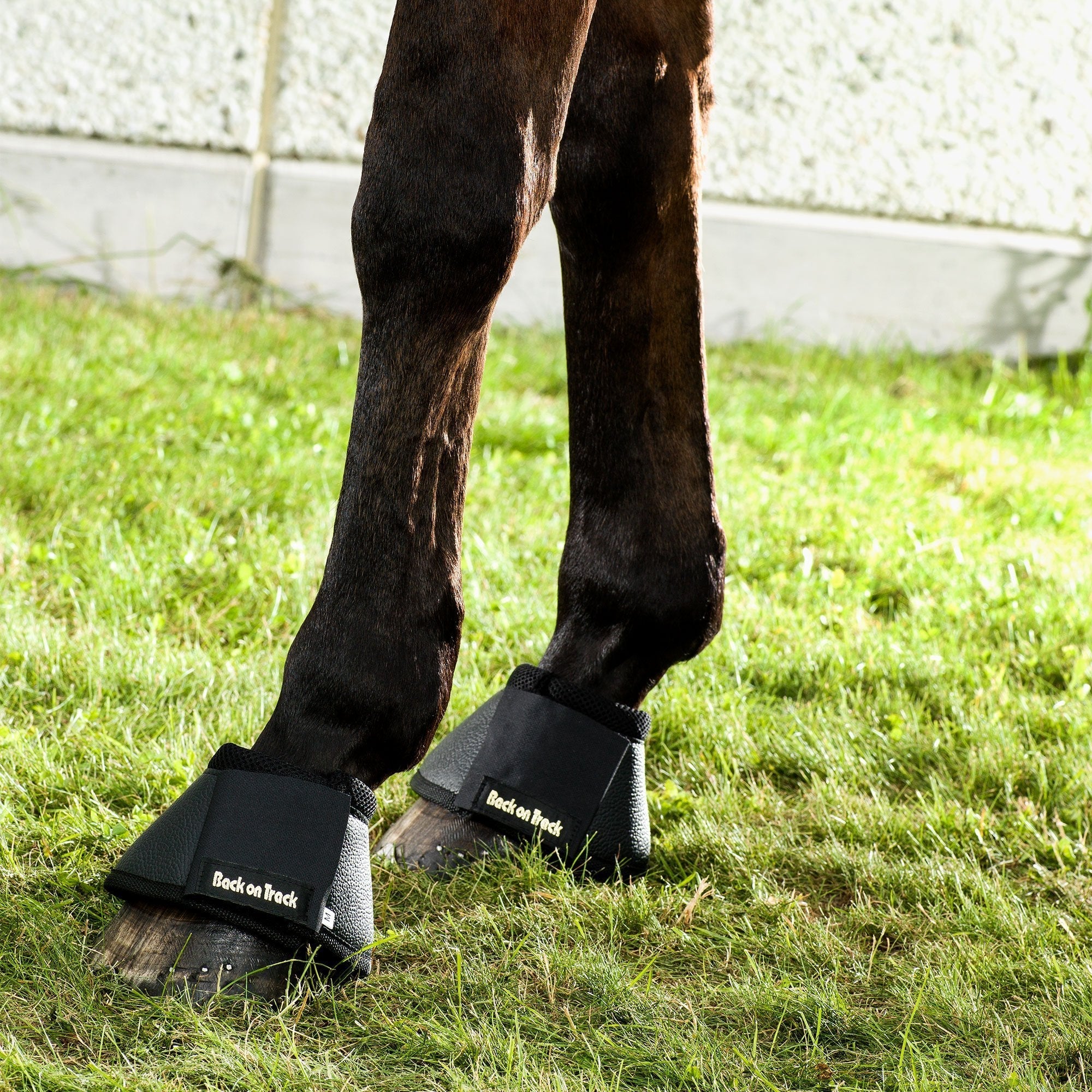 Hästboots - Back on Track Sverige (5300214268059)