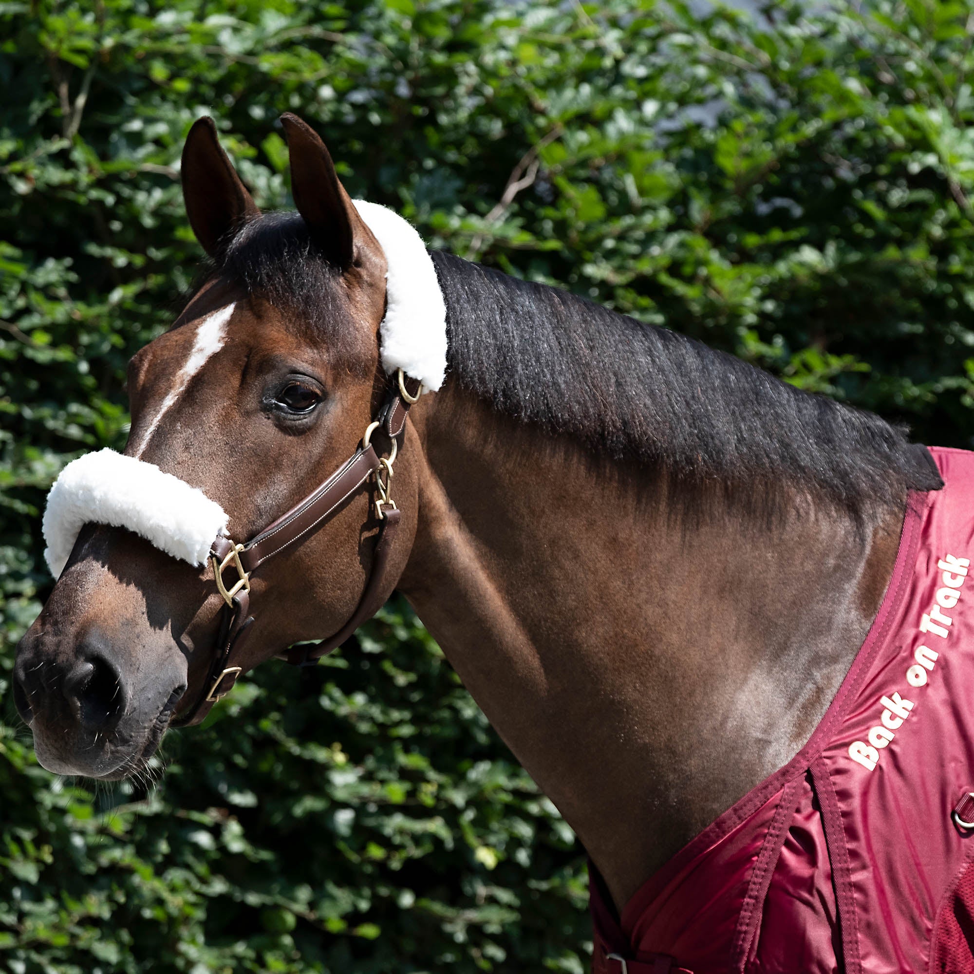 Grimludd, Vit - Back on Track Sverige (5300130742427)