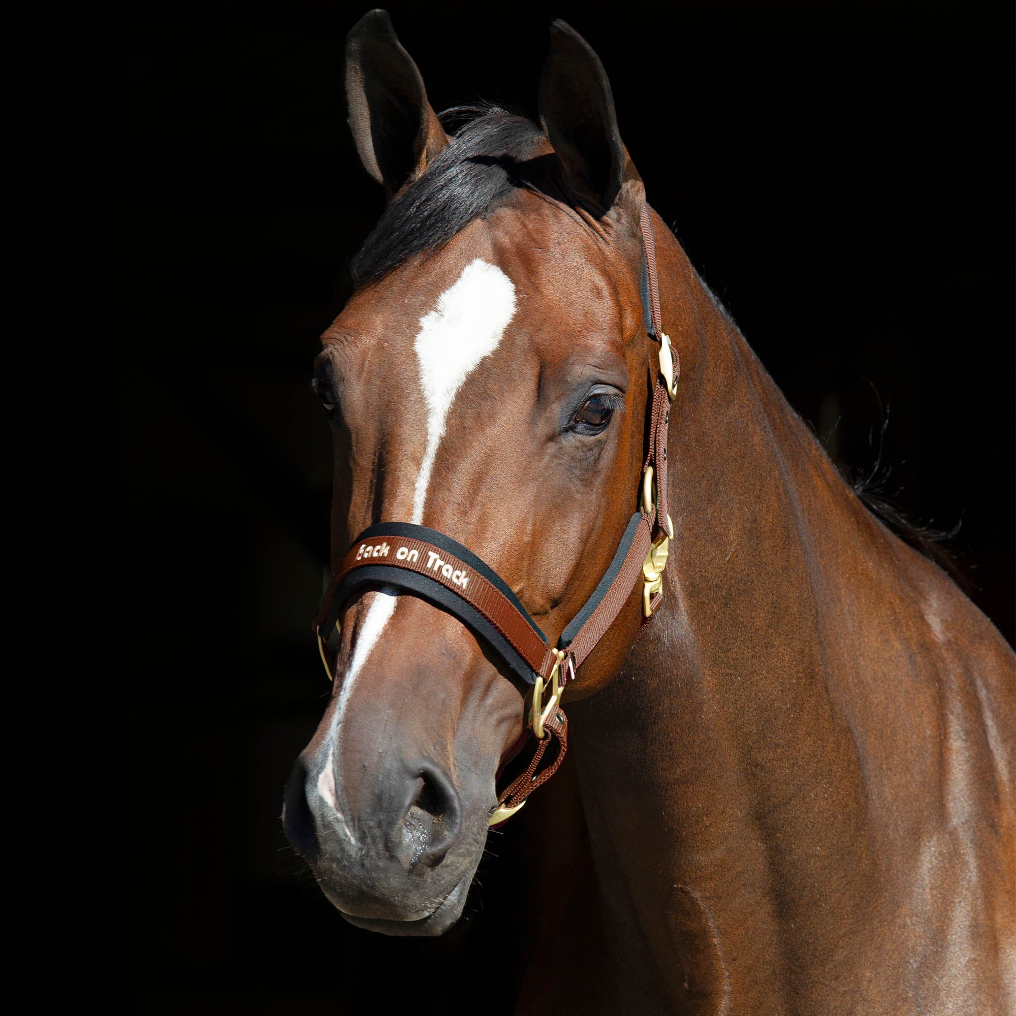 Grimma Werano - Back on Track Sverige (5300210401435)