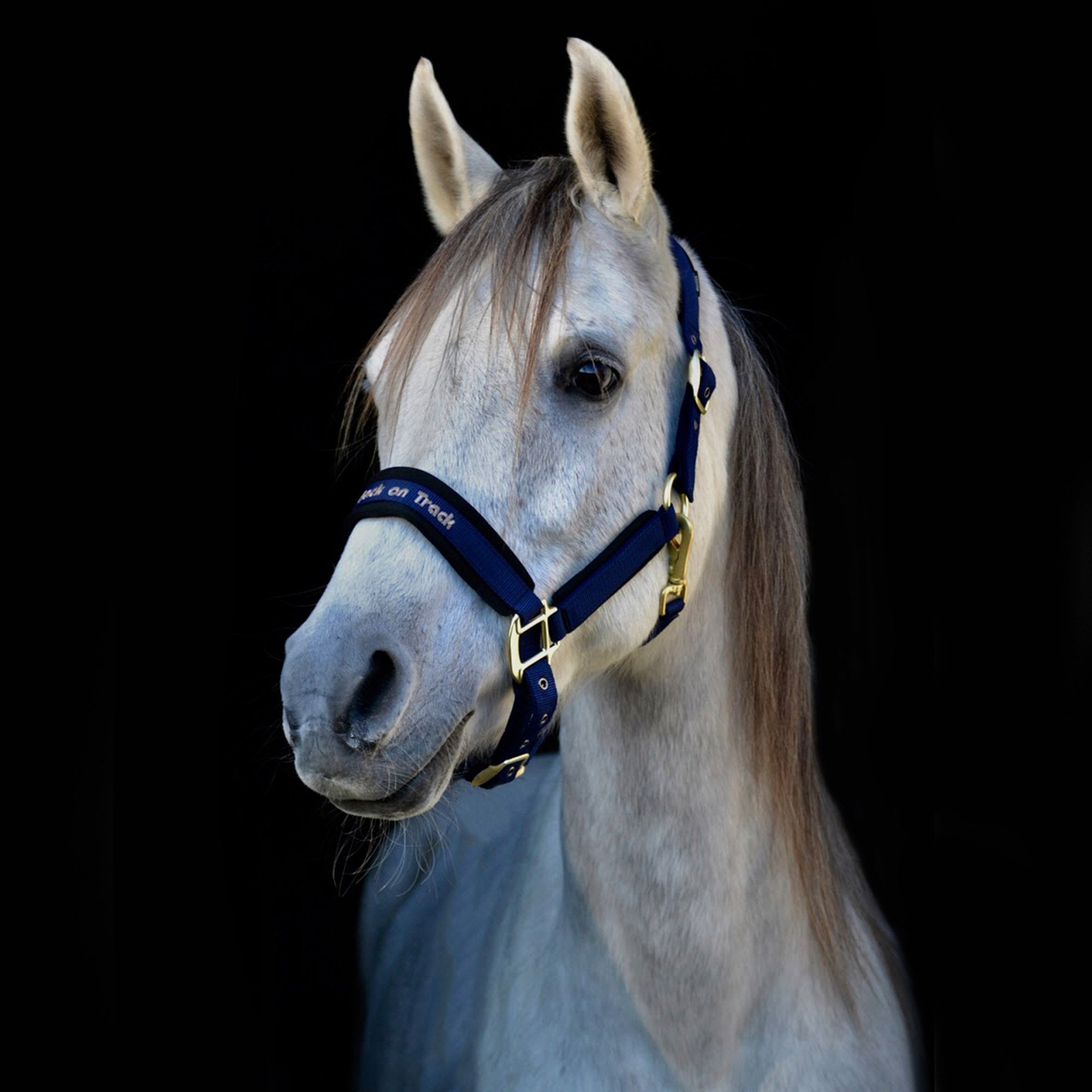 Grimma Werano - Back on Track Sverige (5300210401435)