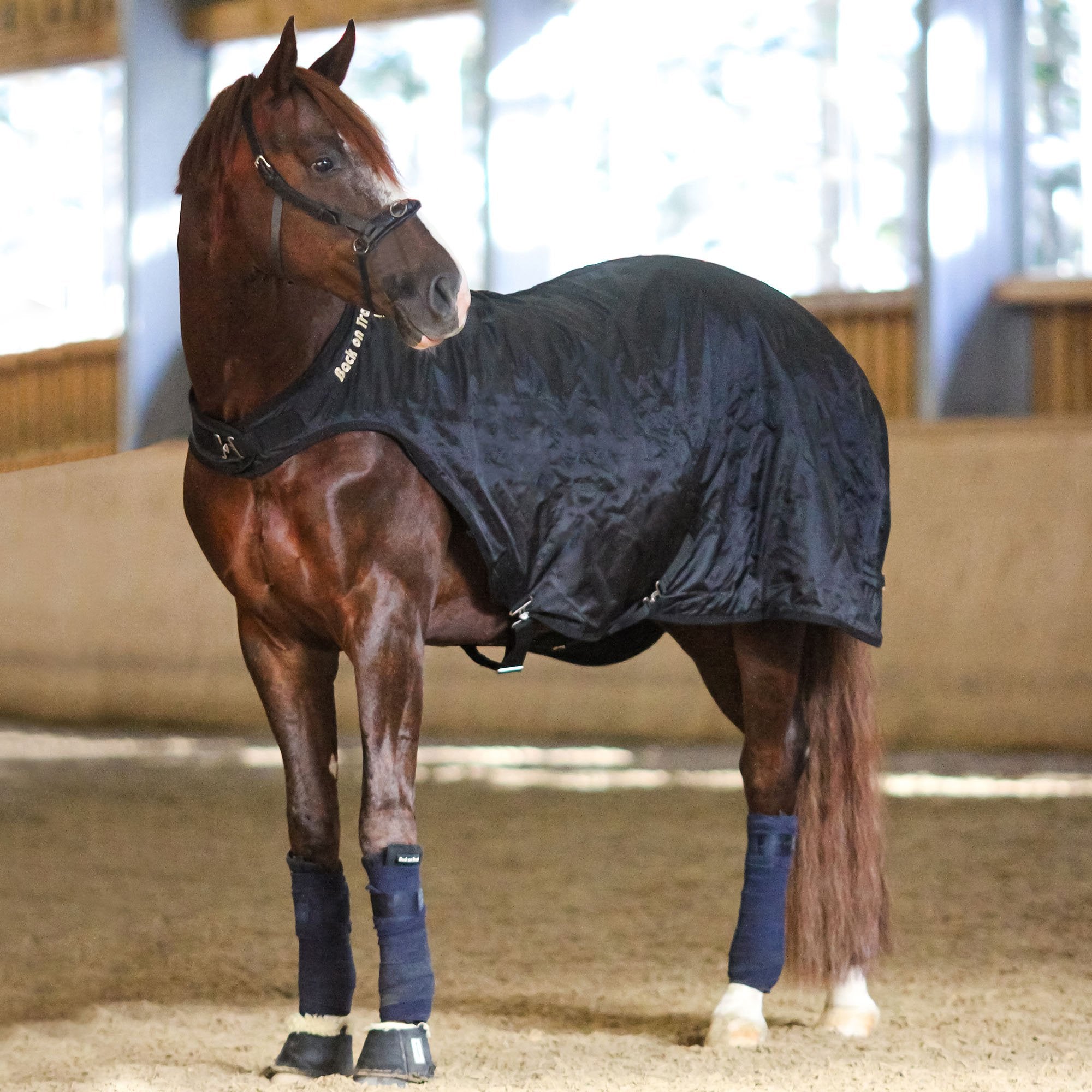 Skrittmaskinstäcke - Back on Track Sverige (5300192313499)