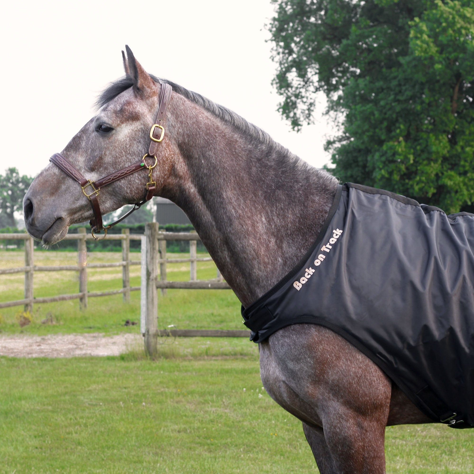 Skrittmaskinstäcke - Back on Track Sverige (5300192313499)