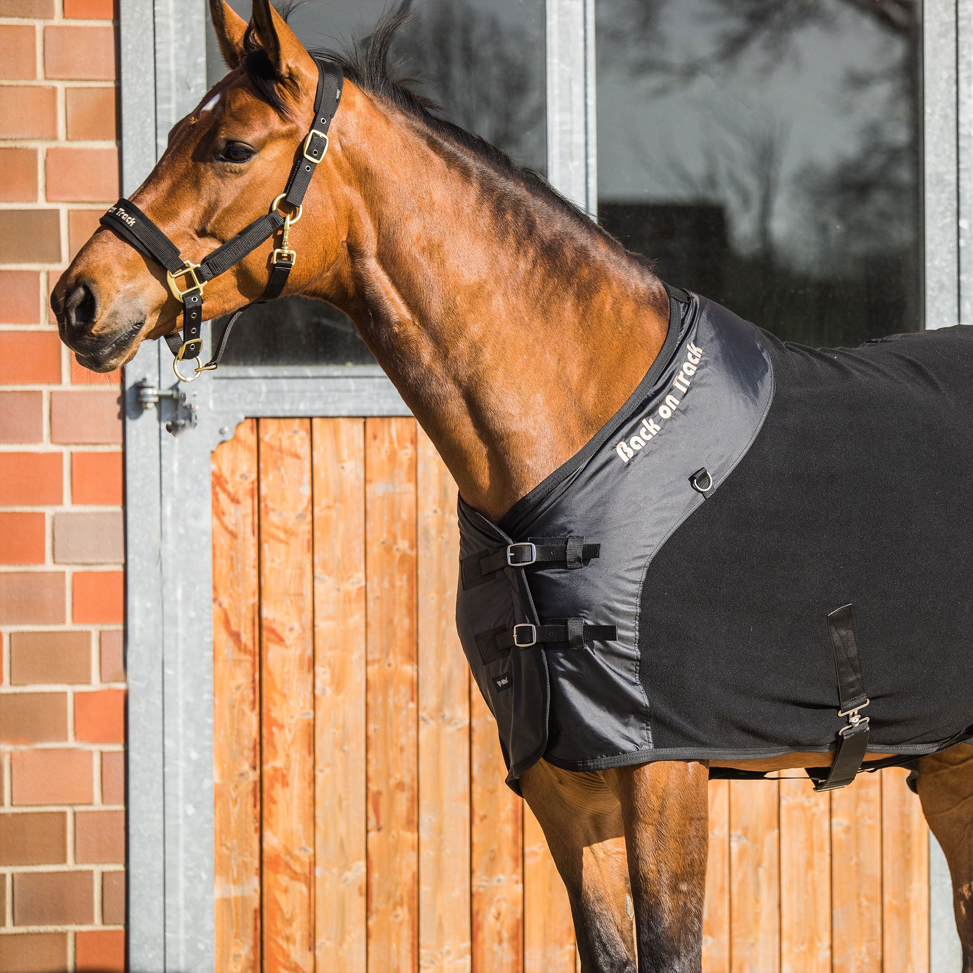 Fleece Rug Supreme with D-Rings