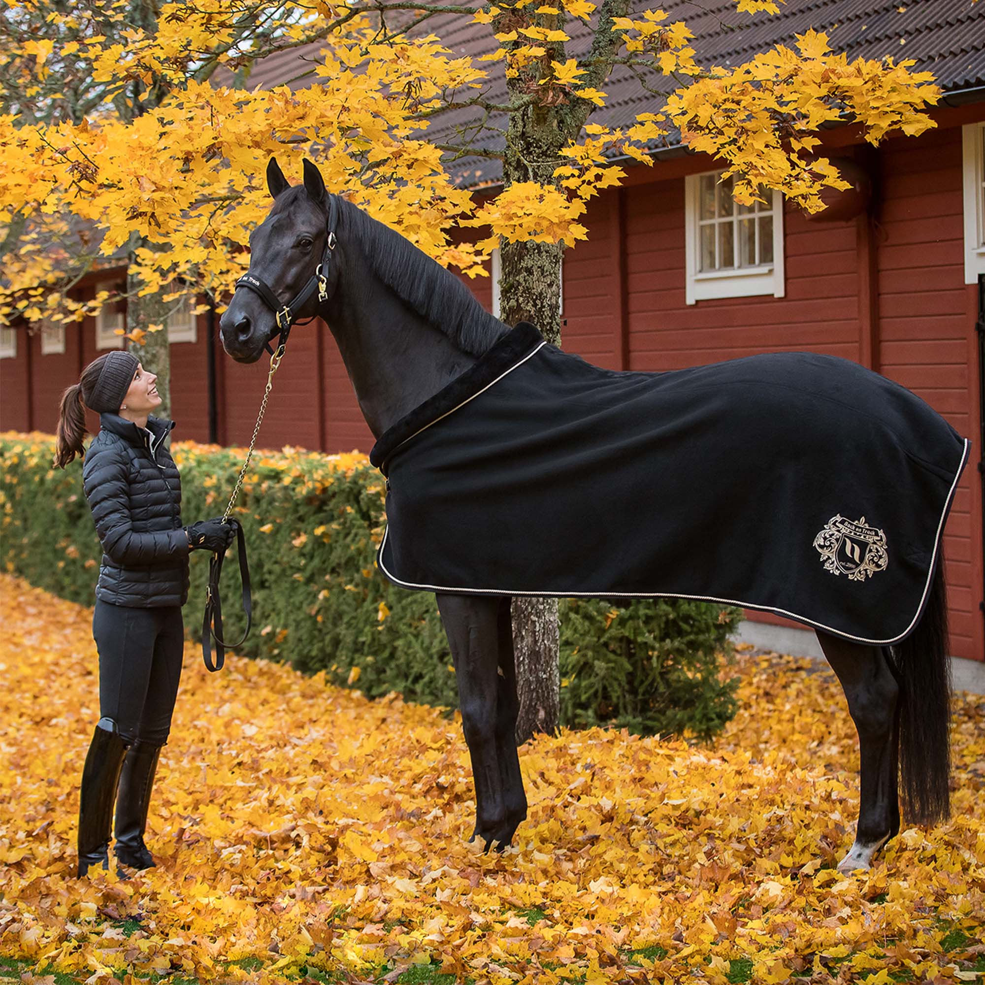 Hästtäcke Edward, Ulltäcke - Back on Track Sverige (5300184154267)