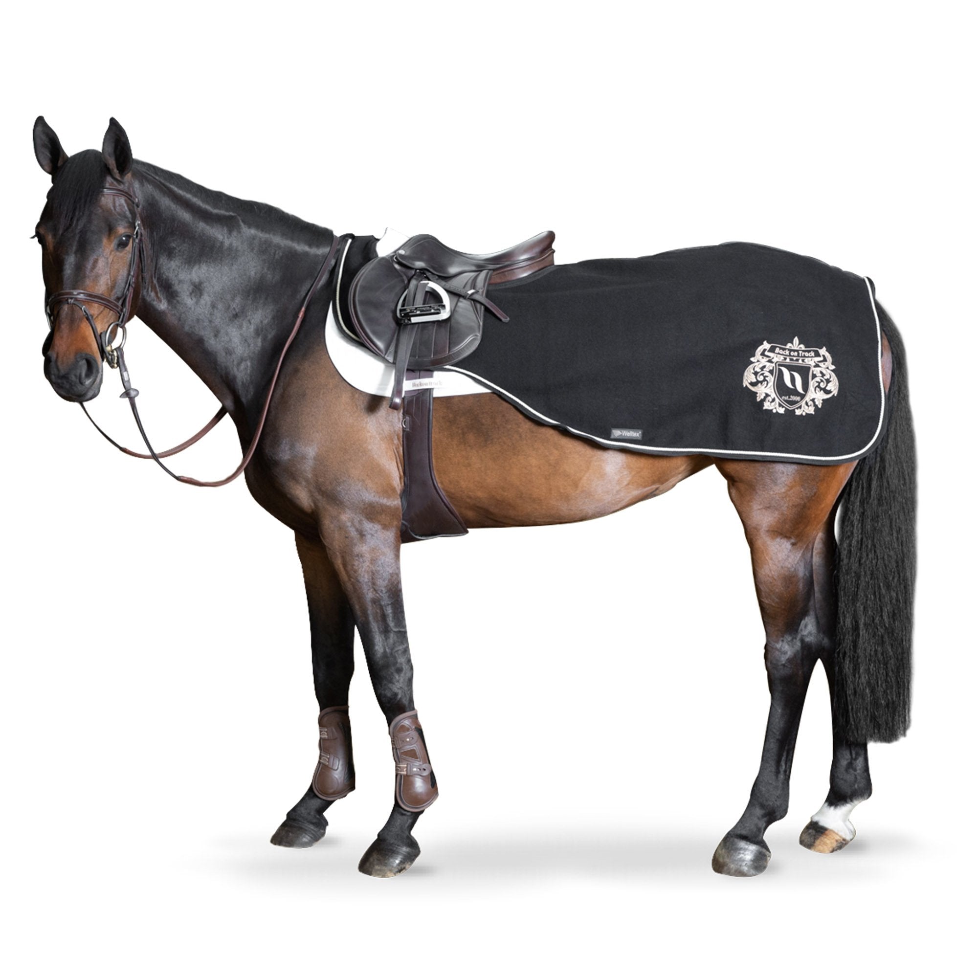 Skrittäcke i Ull, William - Back on Track Sverige (5300190511259)