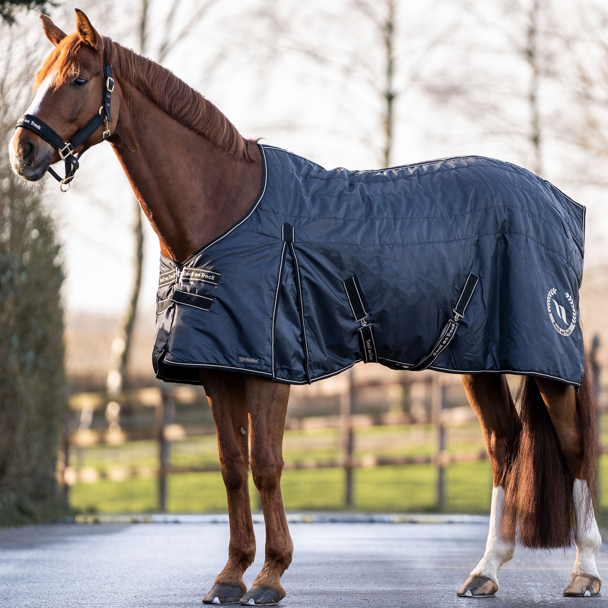 "Millie" Stable Rug 100g