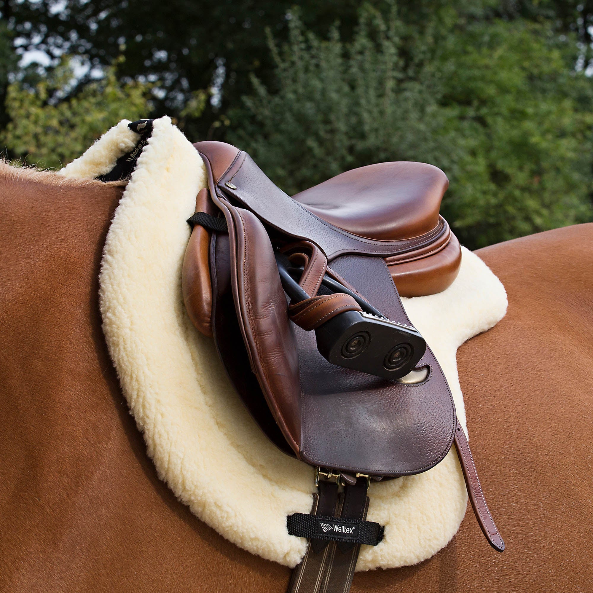 Vojlock Teddy, beige - Back on Track Sverige (5300124450971)