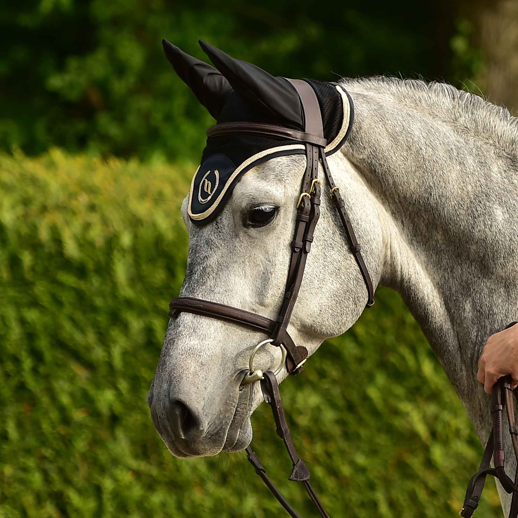 "Nights Collection" Horse Bonnet