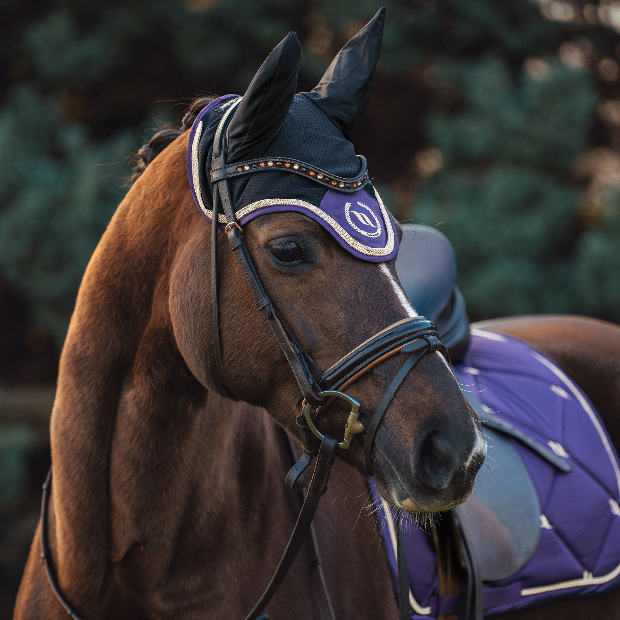 NC Horse Bonnet Taye - Back on Track Sverige (5300120944795)