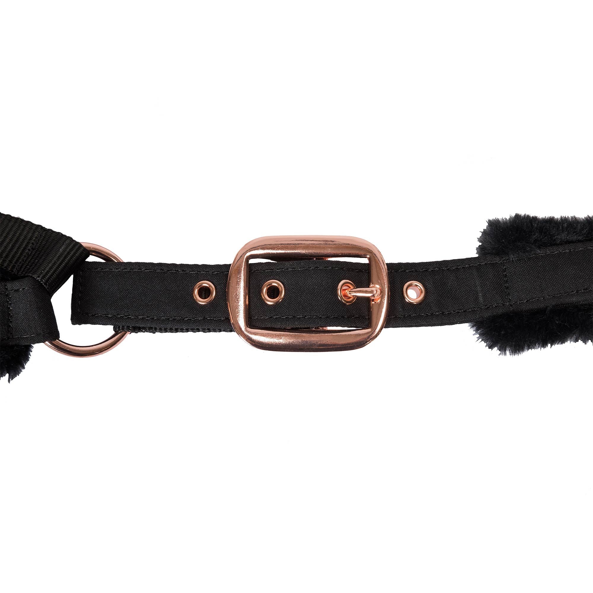 "Haze Collection" Halter - Black Rose