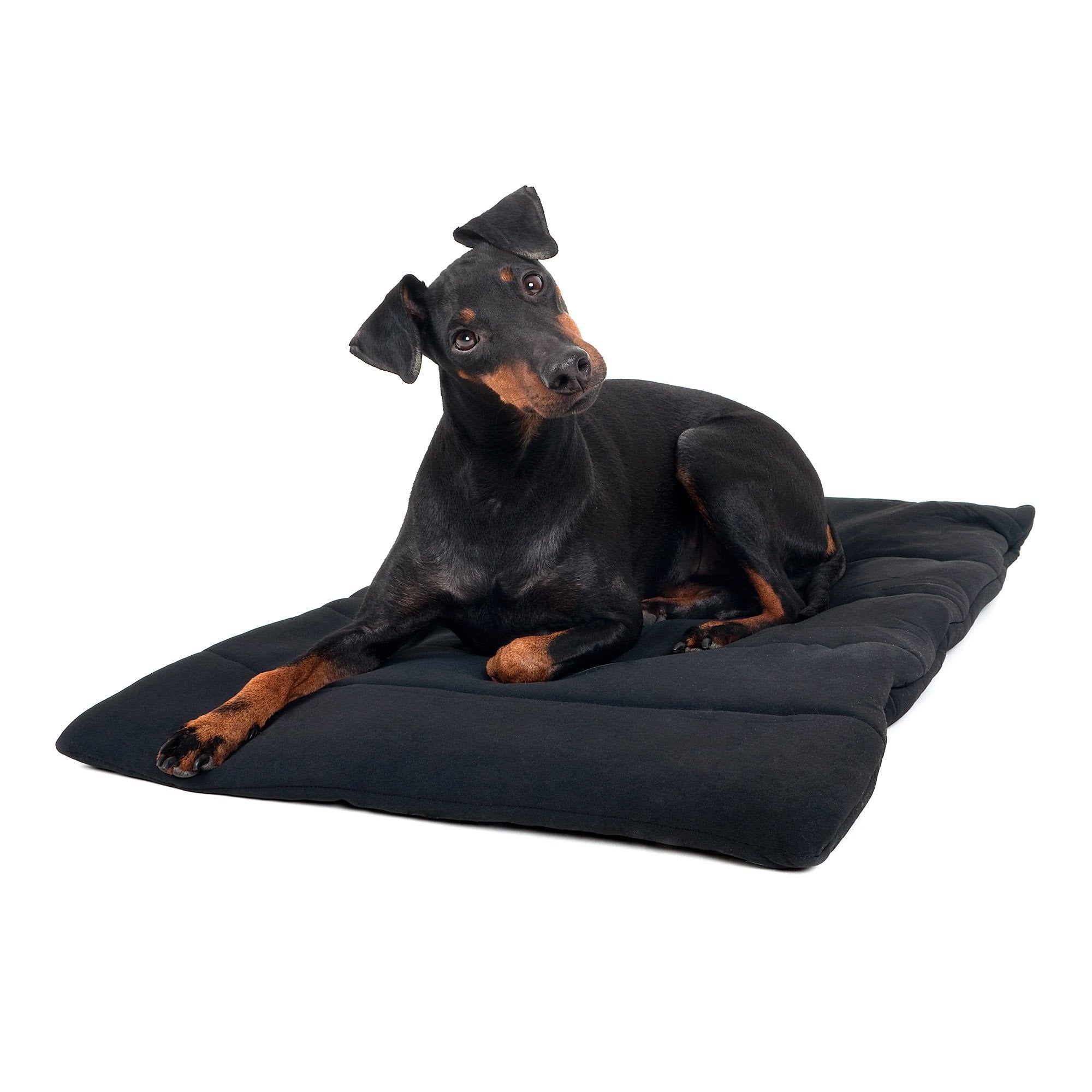 Hundfilt, Svart 50x68cm - Back on Track Sverige (5300241498267)