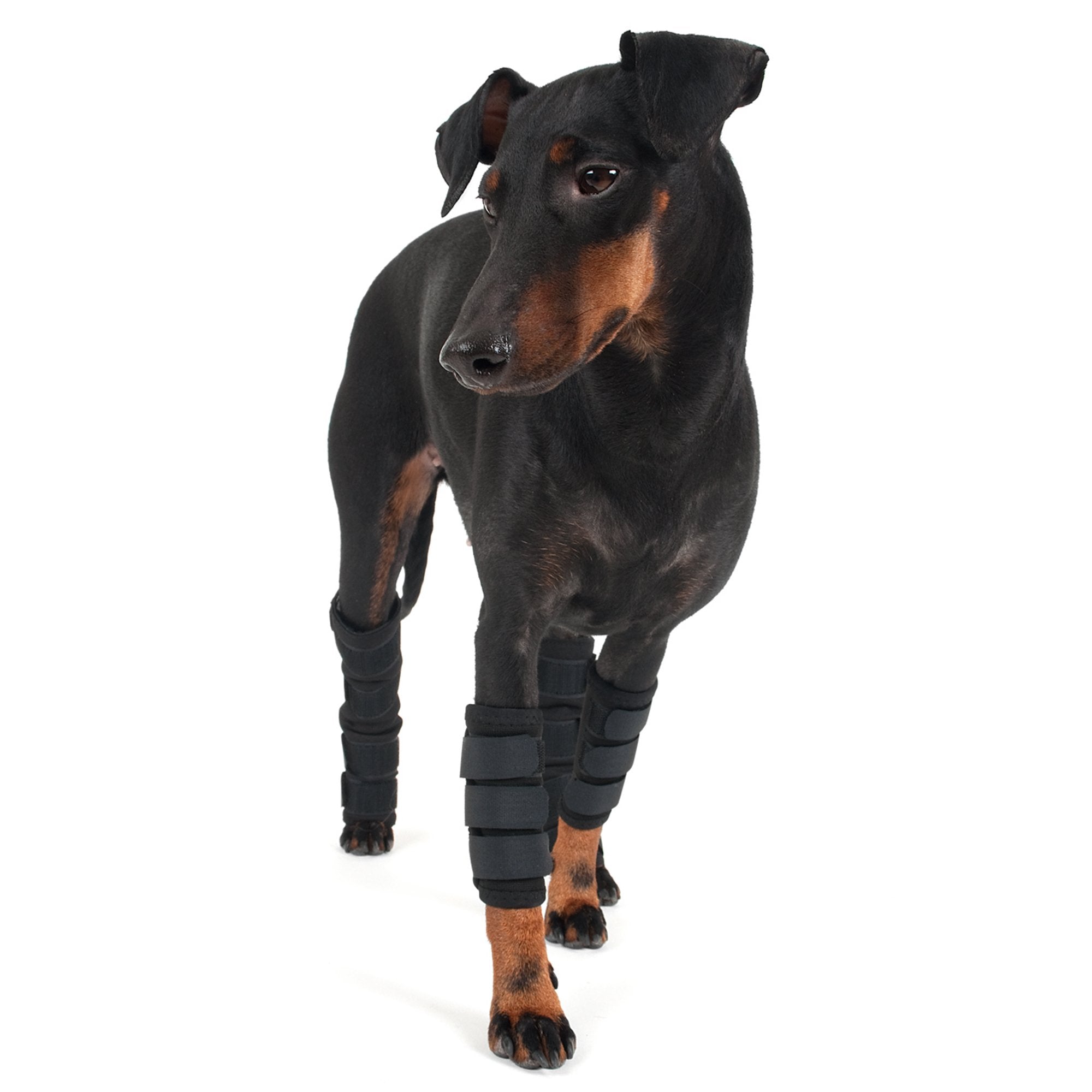 Hundbenskydd - Back on Track Sverige (5300242808987)