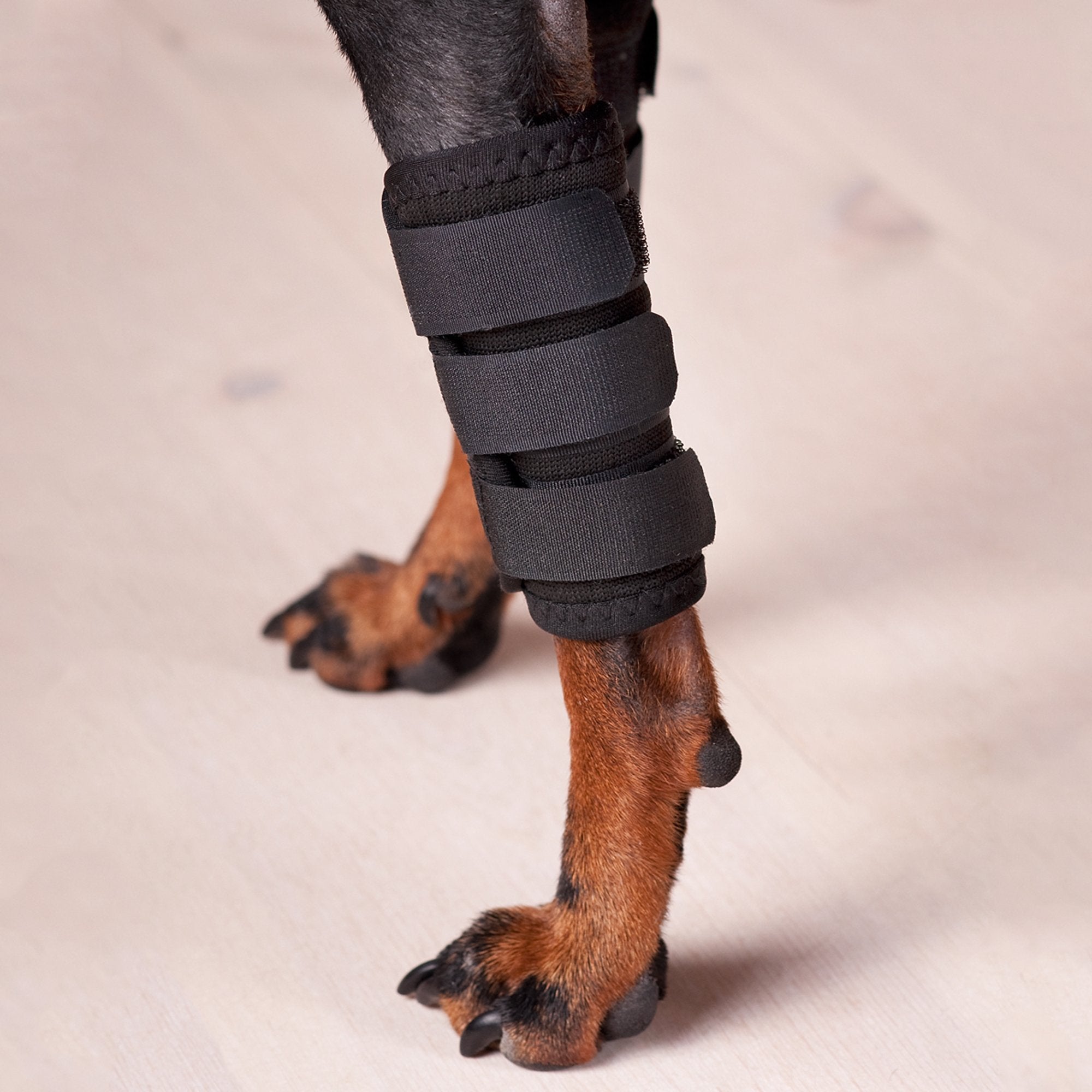 Hundbenskydd - Back on Track Sverige (5300242808987)