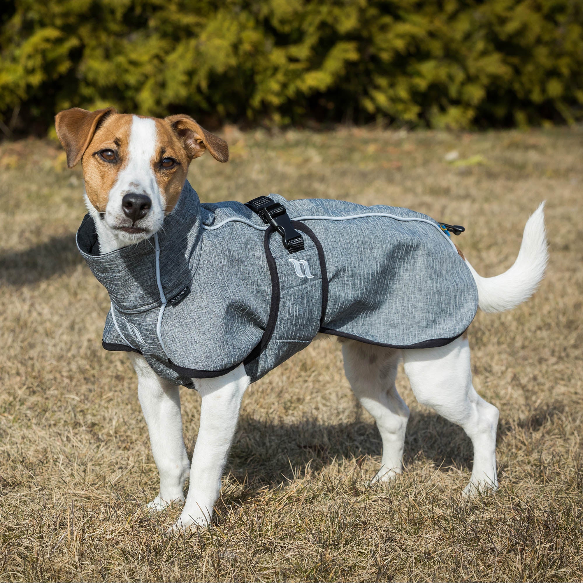 "Bark" All-Round Coat