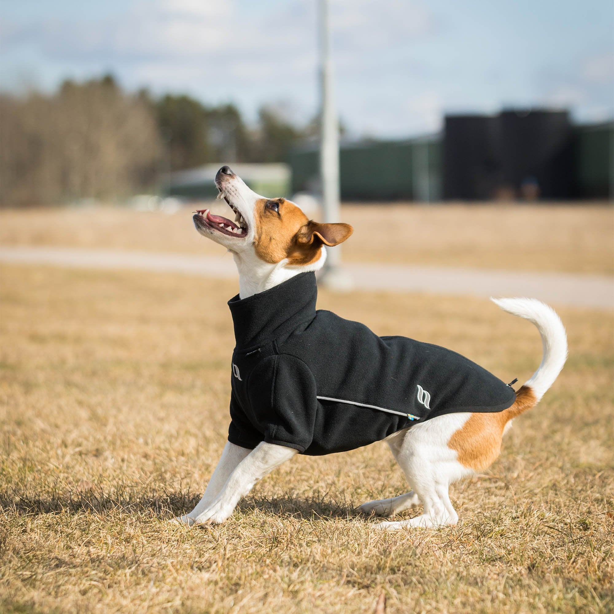 "Cassie" All-weather Jumper, no hanger