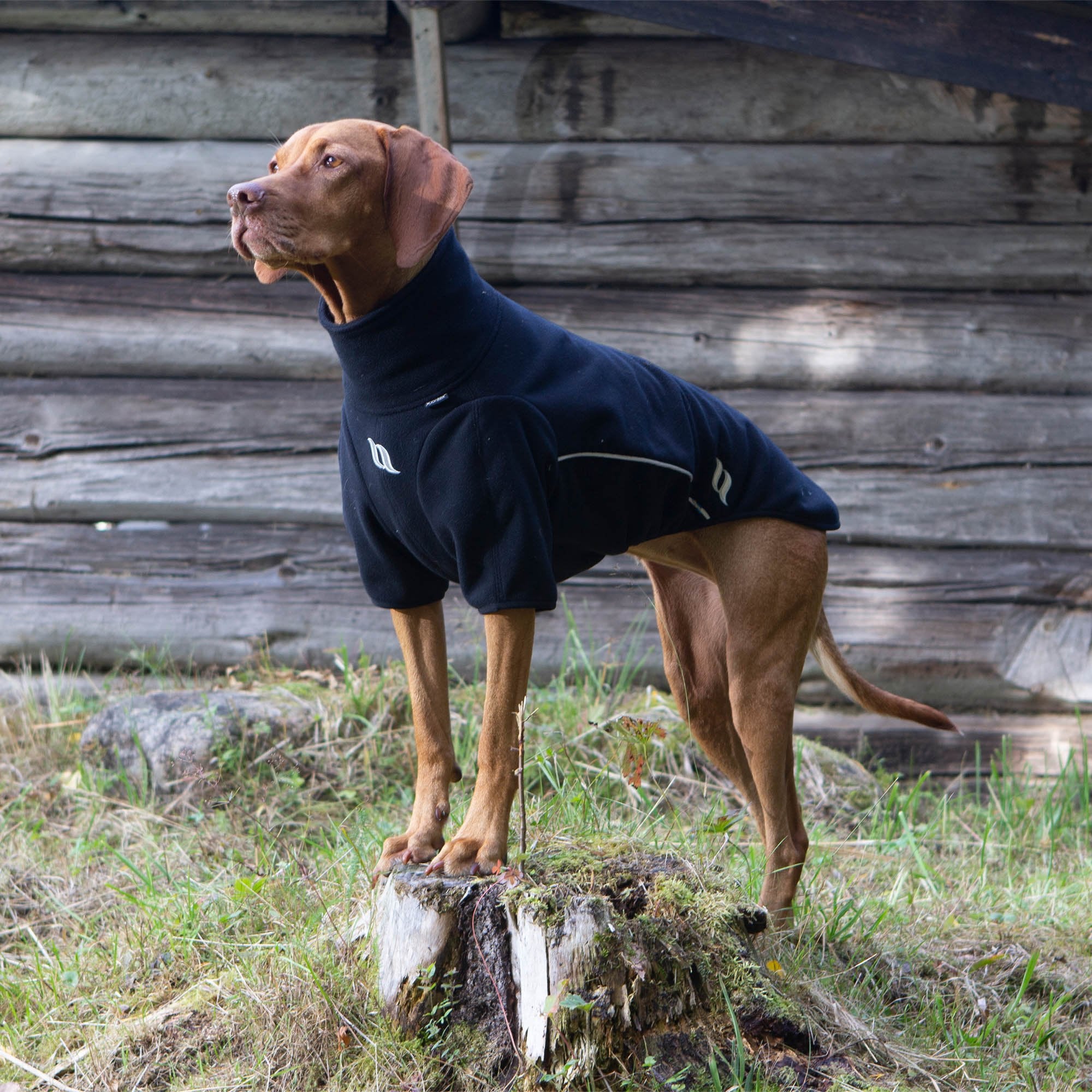"Cassie" All-weather Jumper, no hanger