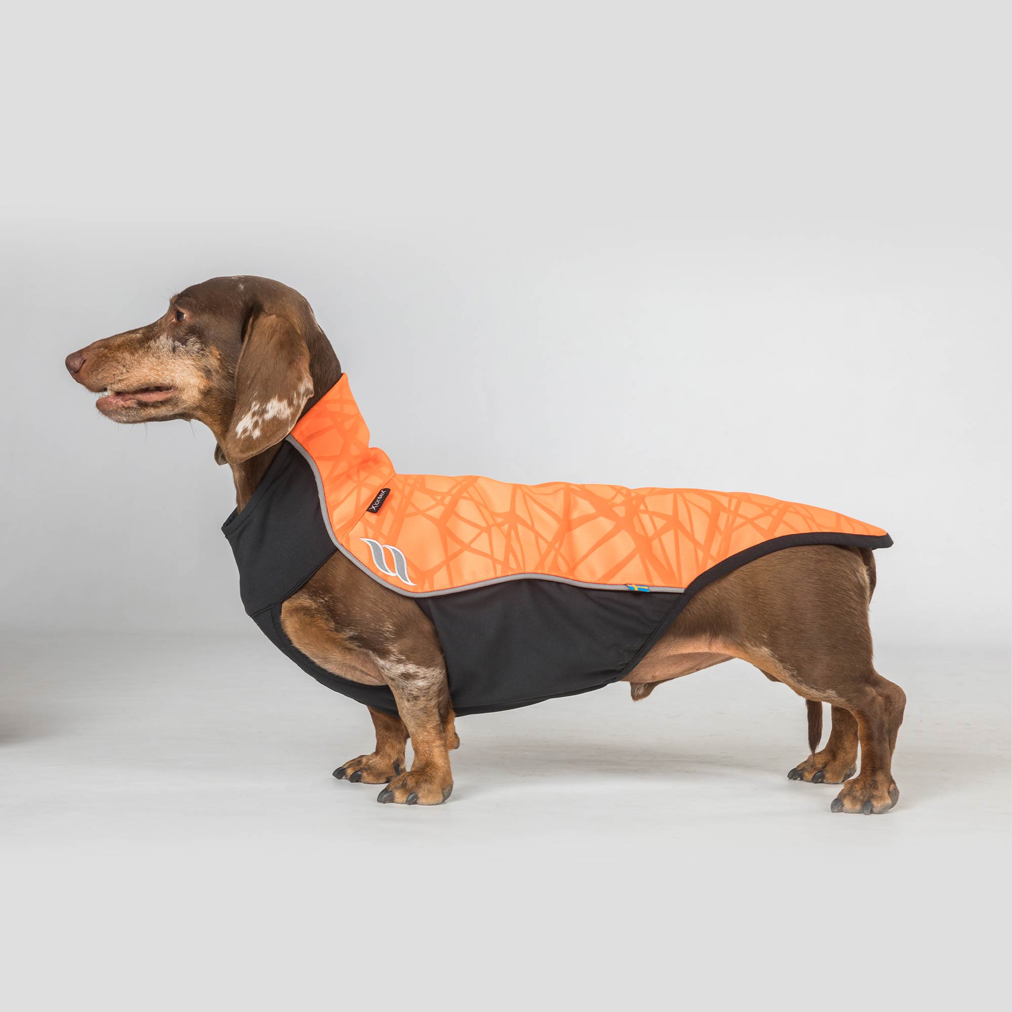 "Eddie" Petite High visibility Jumper, no hanger