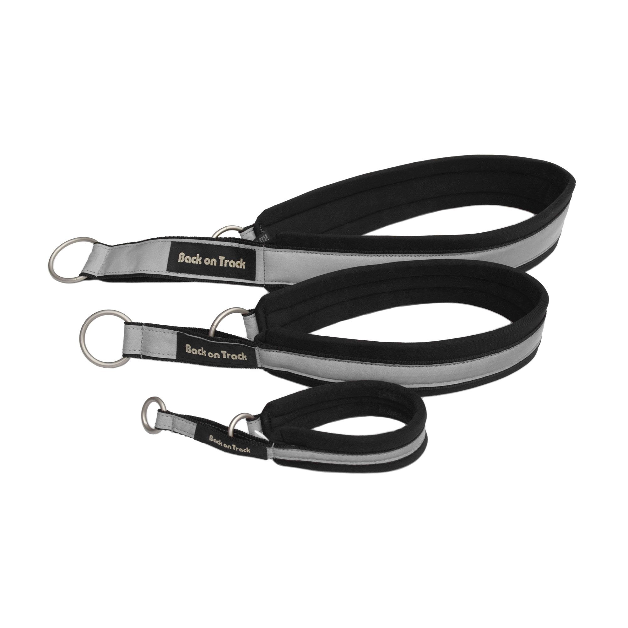 Hundhalsband Molly - Back on Track Sverige (5300242448539)