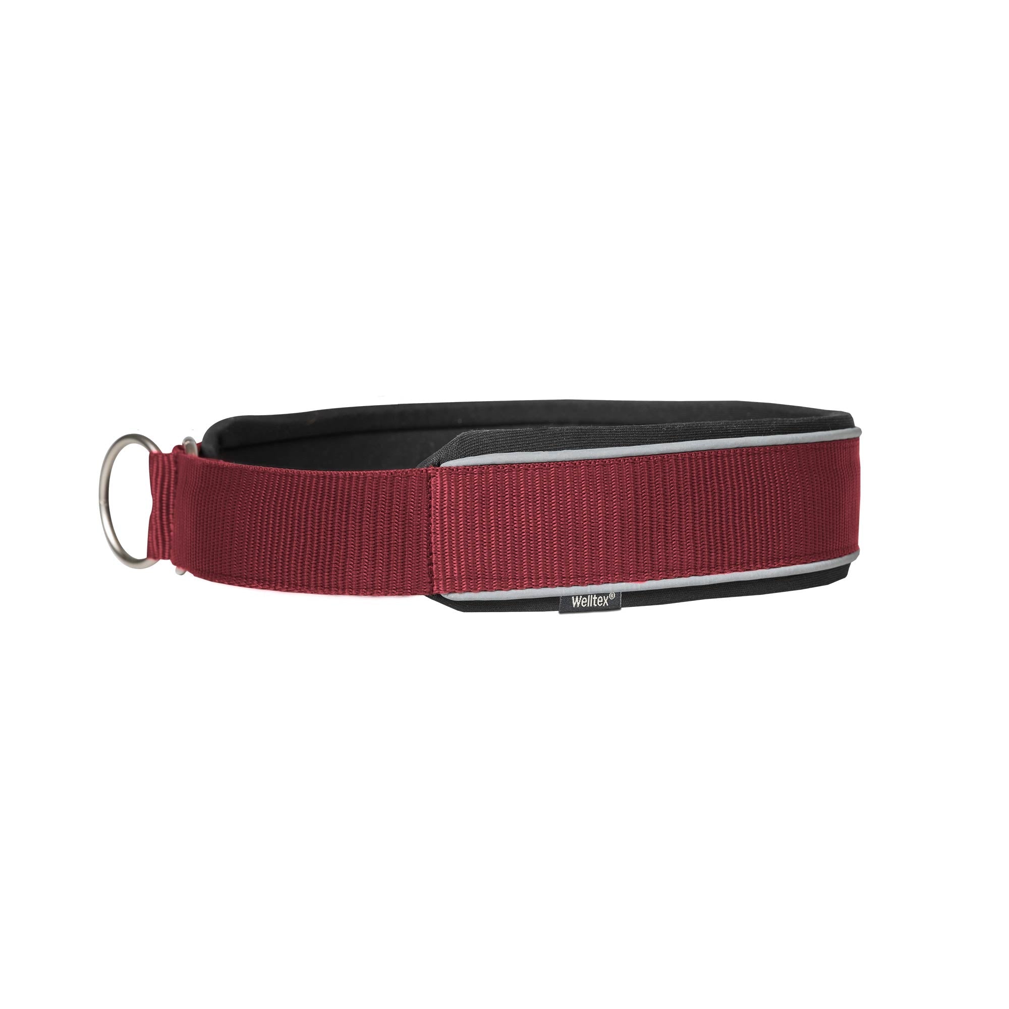 "Charlie" Dog Collar
