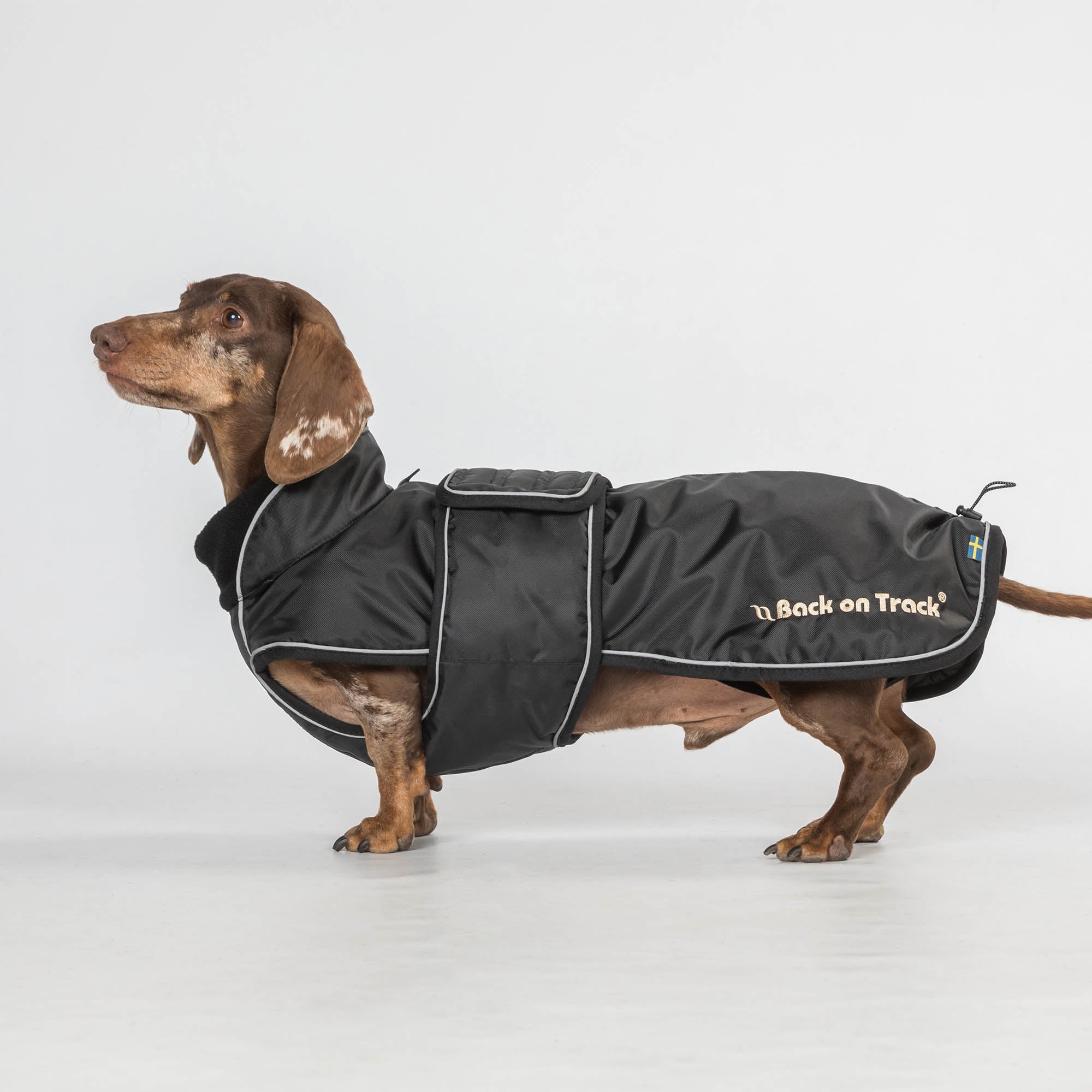 "Buddy" long dog coat