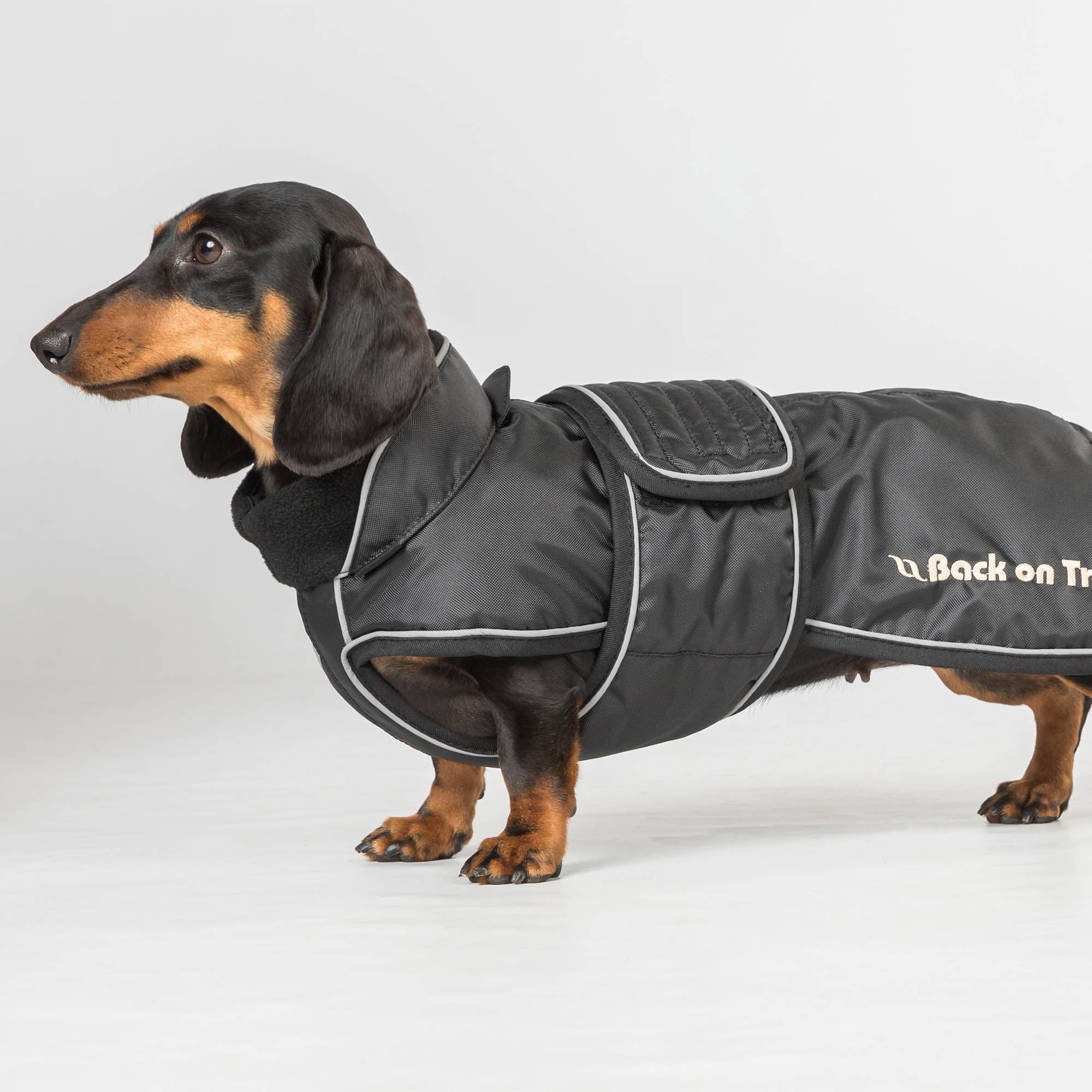 "Buddy" long dog coat