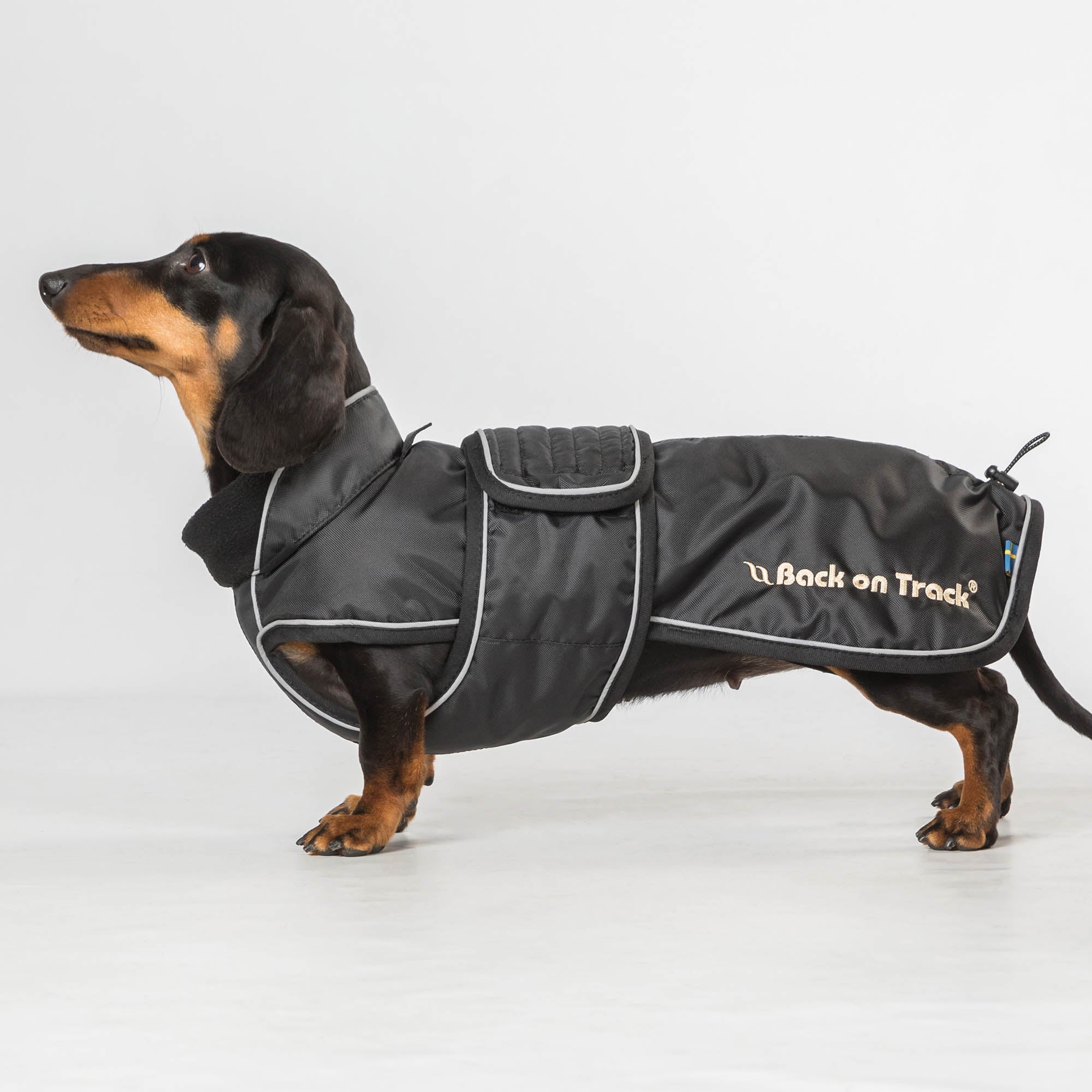 "Buddy" long dog coat