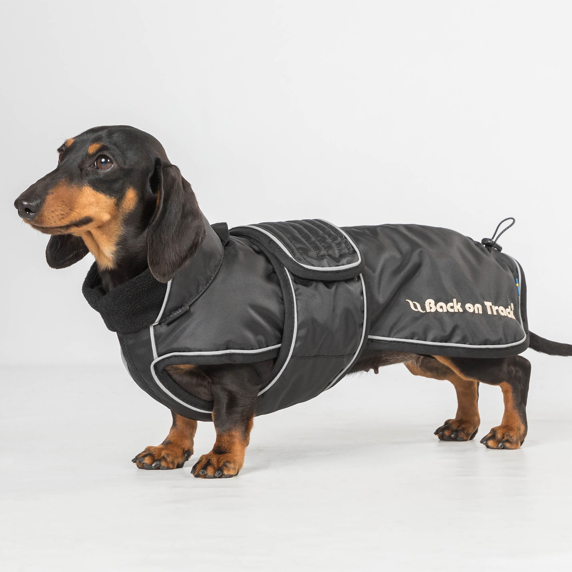 "Buddy" long dog coat