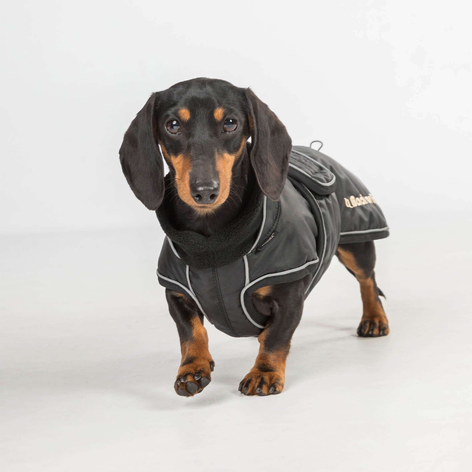 "Buddy" long dog coat