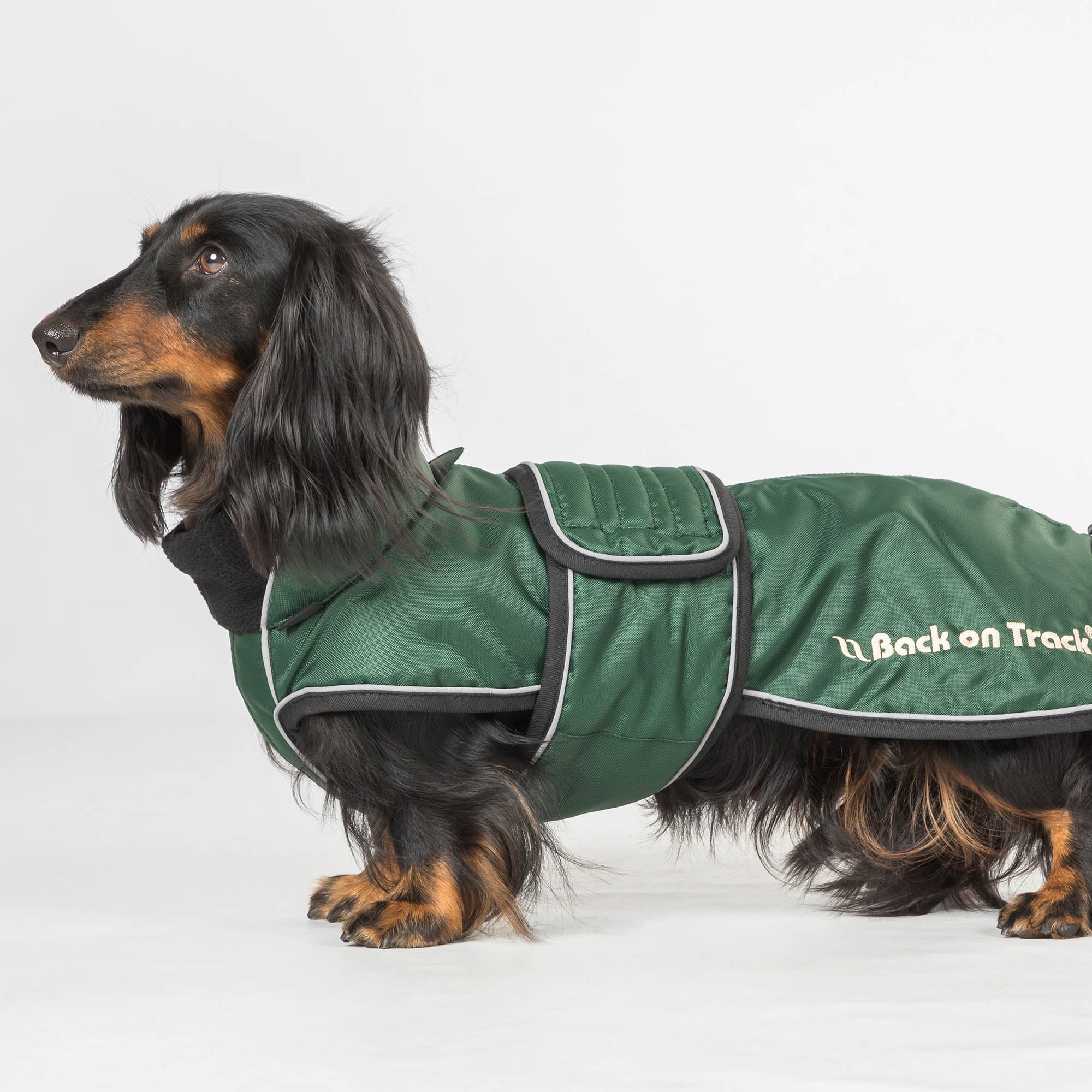 "Buddy" long dog coat