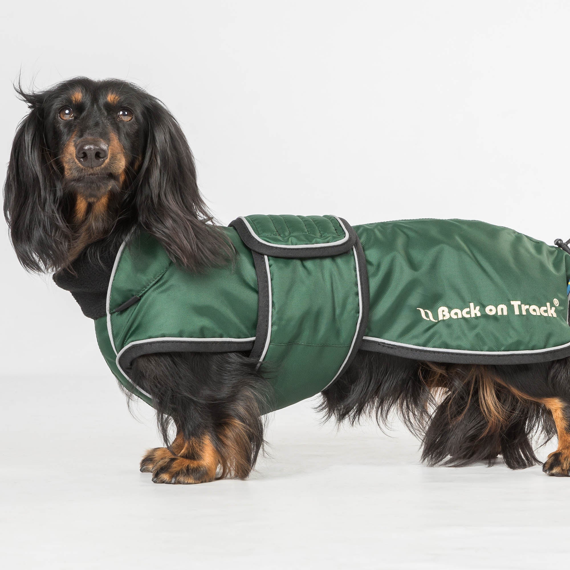 "Buddy" long dog coat
