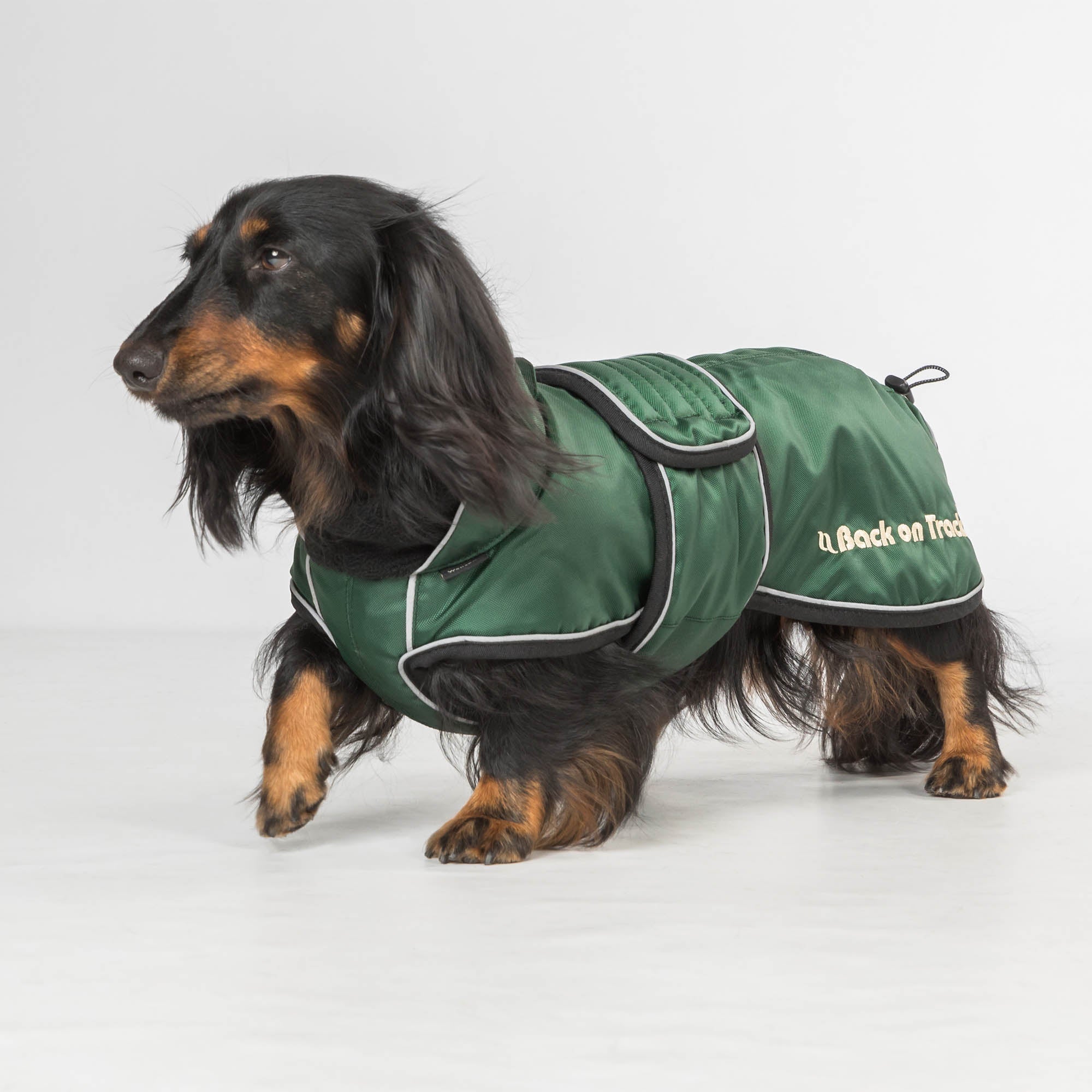 "Buddy" long dog coat
