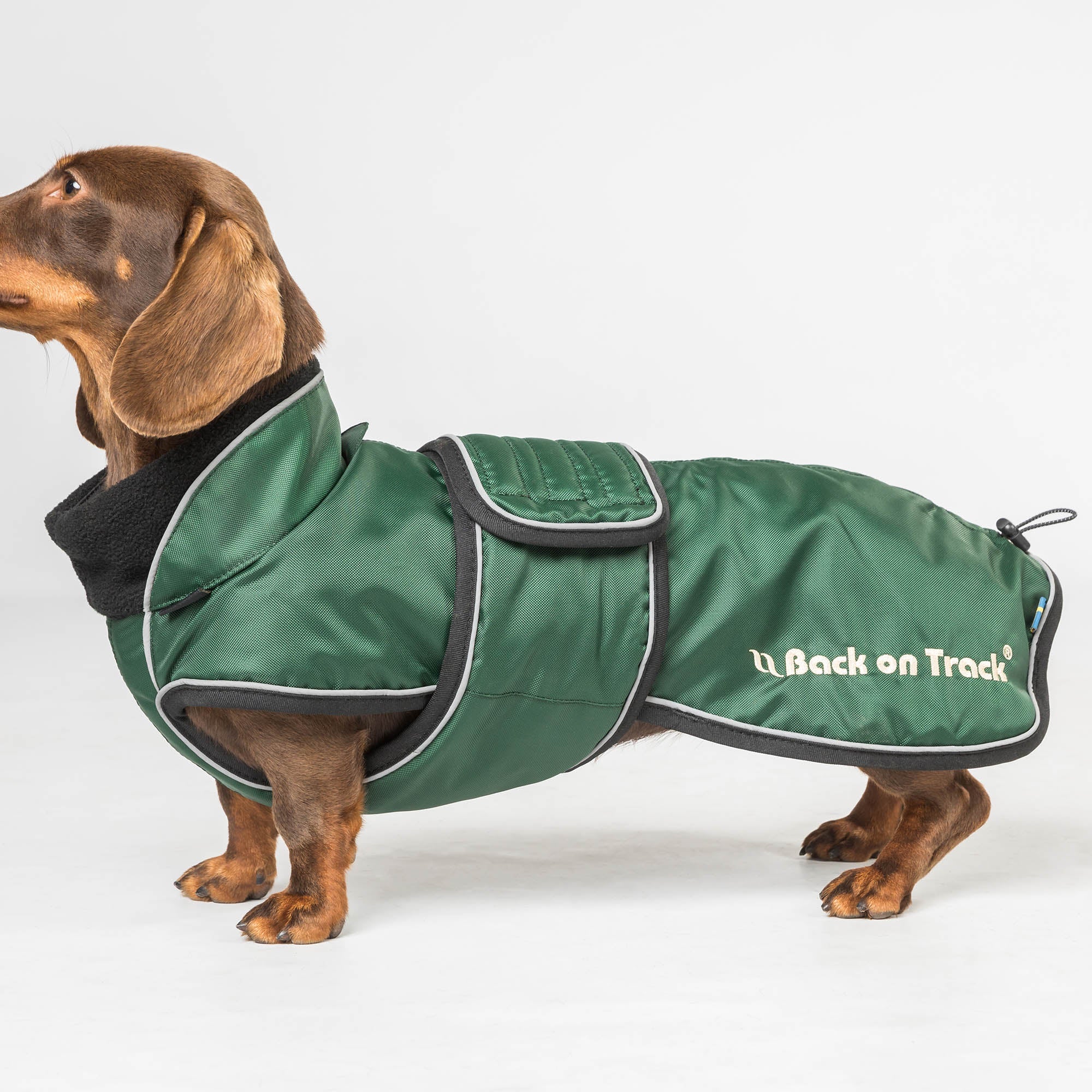 "Buddy" long dog coat