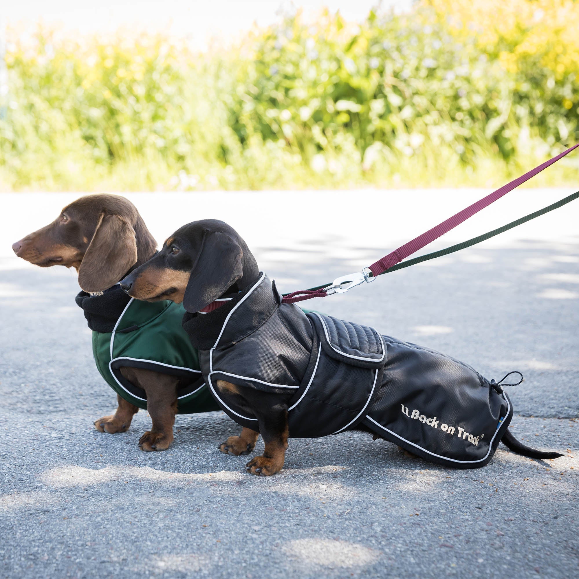 "Buddy" long dog coat