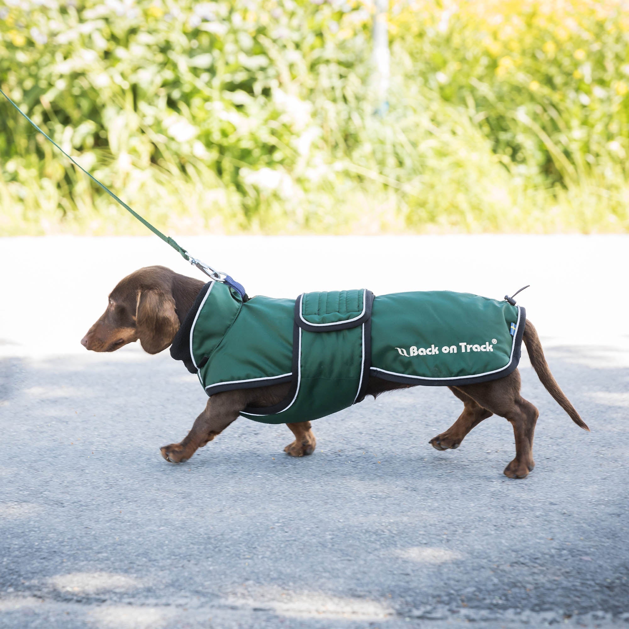 "Buddy" long dog coat