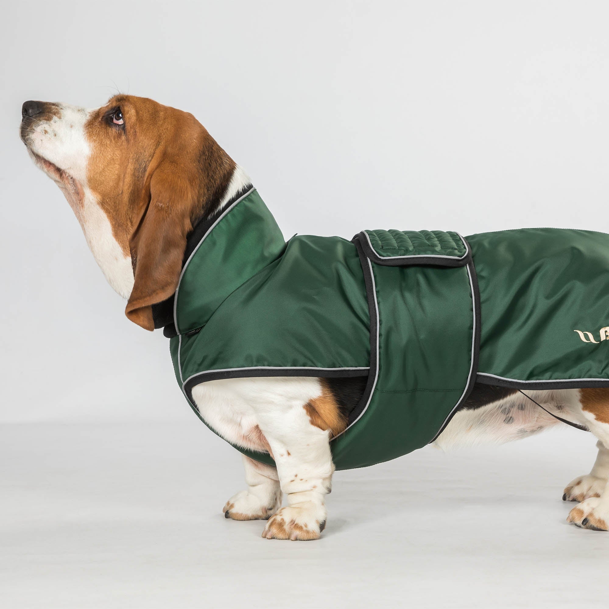 "Buddy" long dog coat