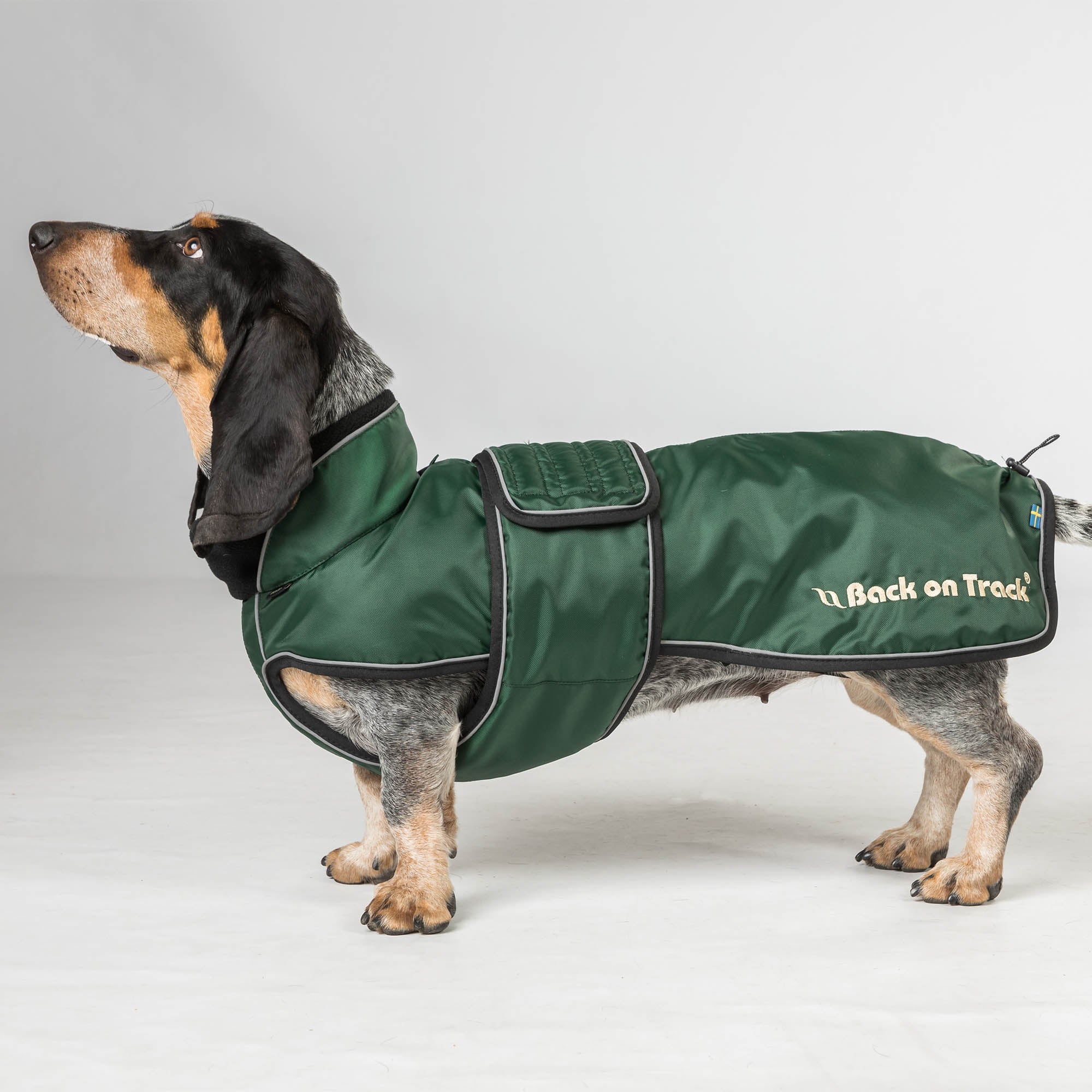 "Buddy" long dog coat