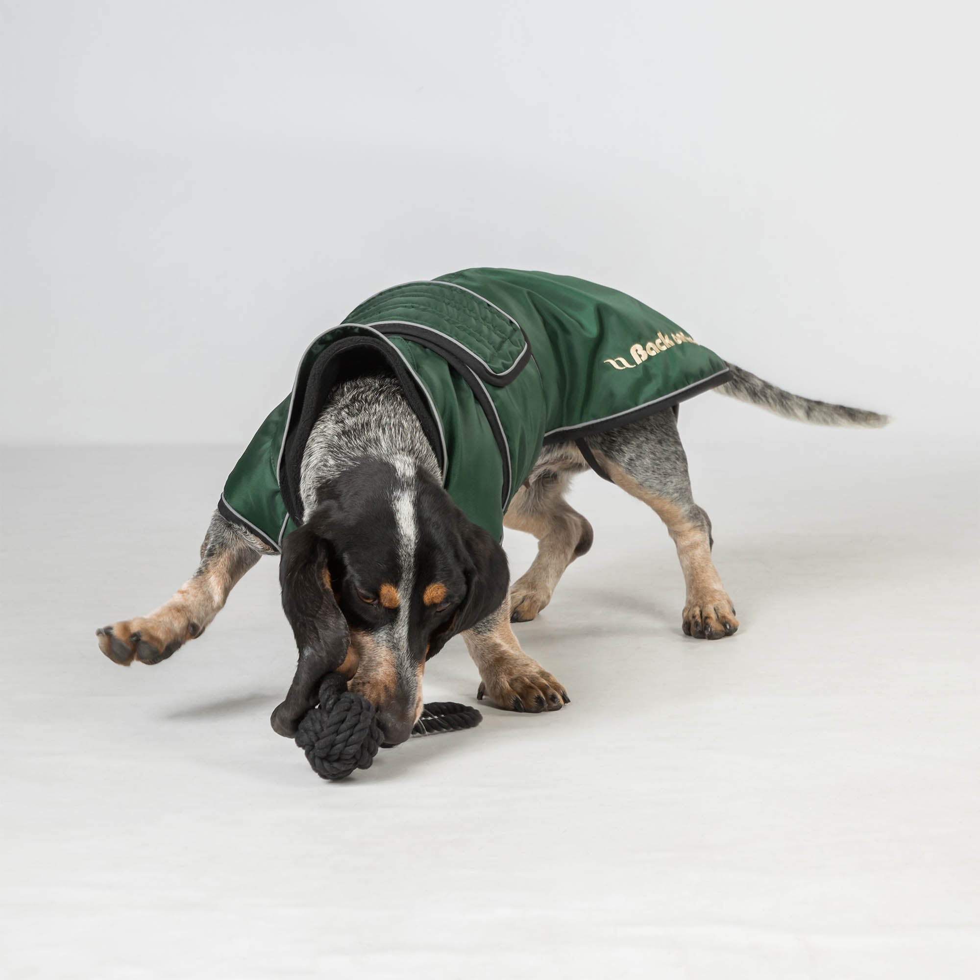 "Buddy" long dog coat