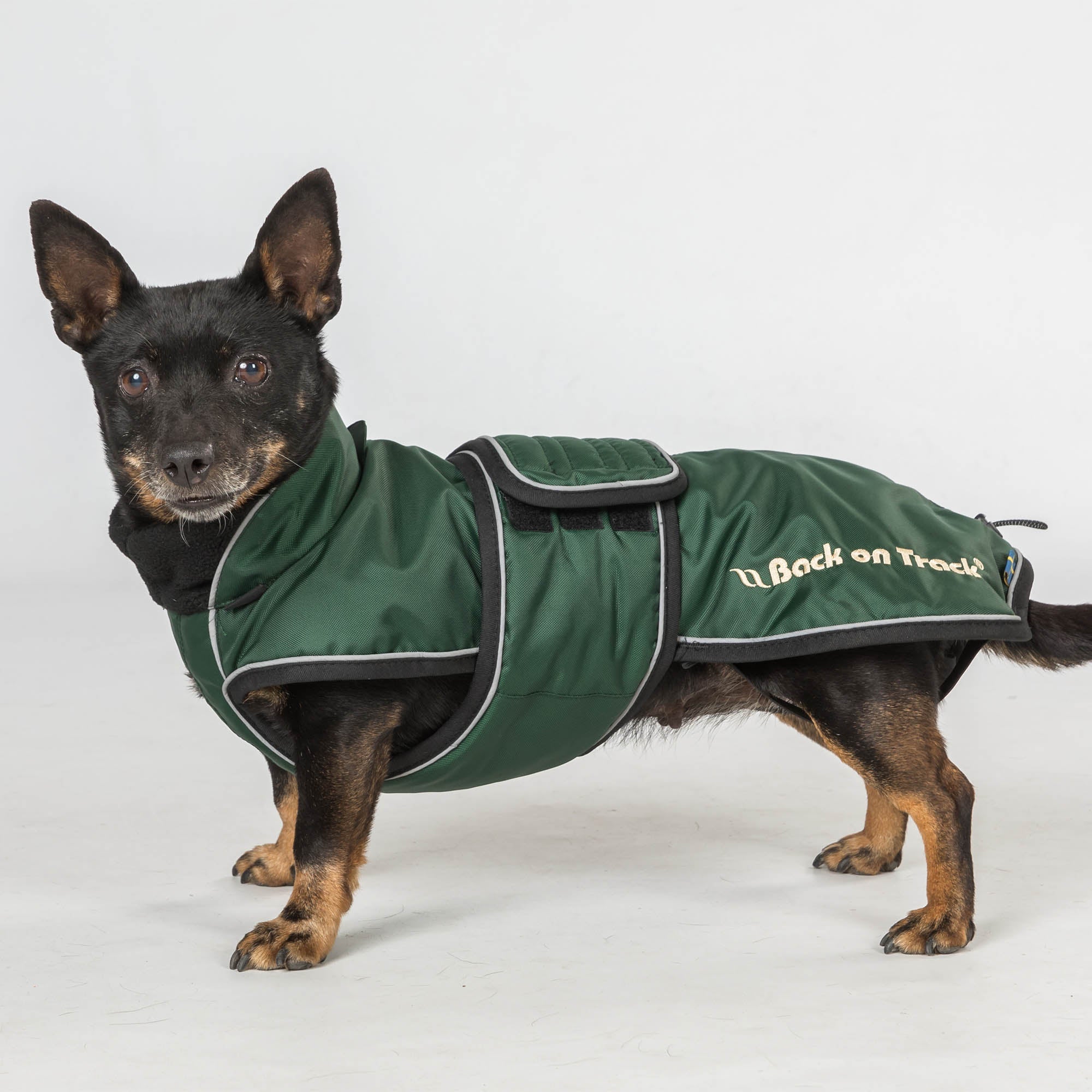 "Buddy" long dog coat