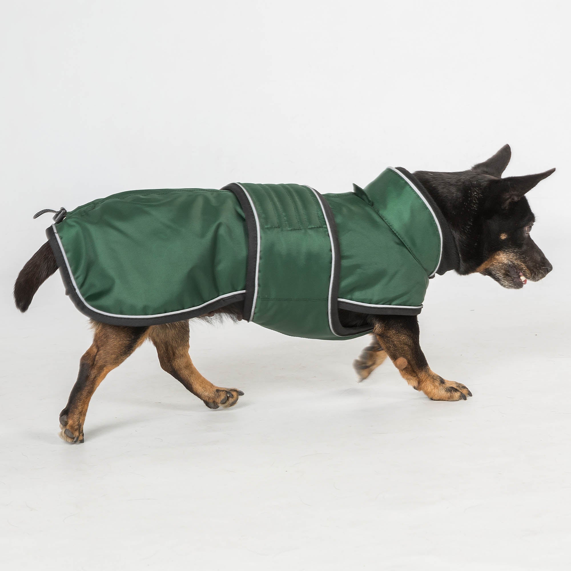 "Buddy" long dog coat
