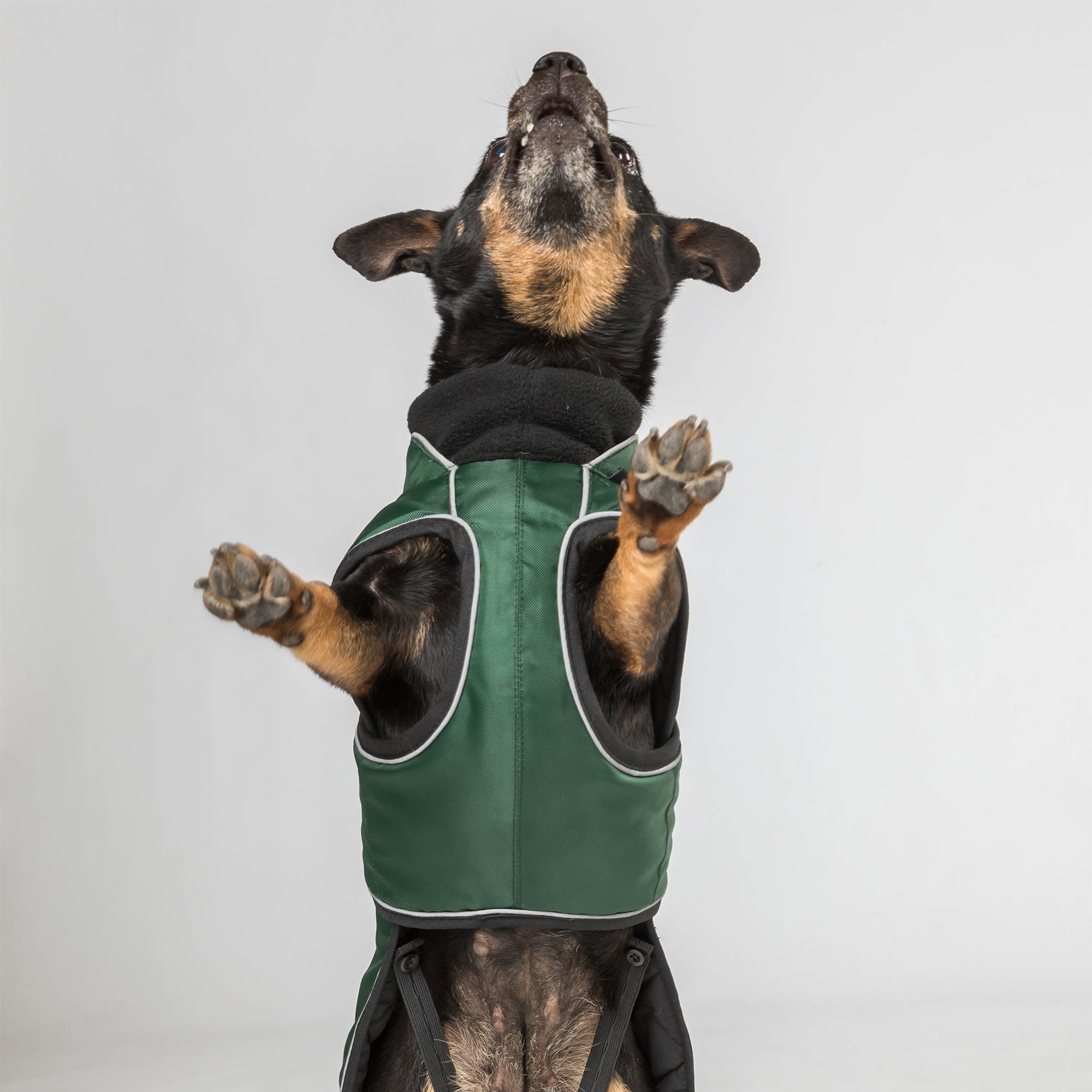 "Buddy" long dog coat