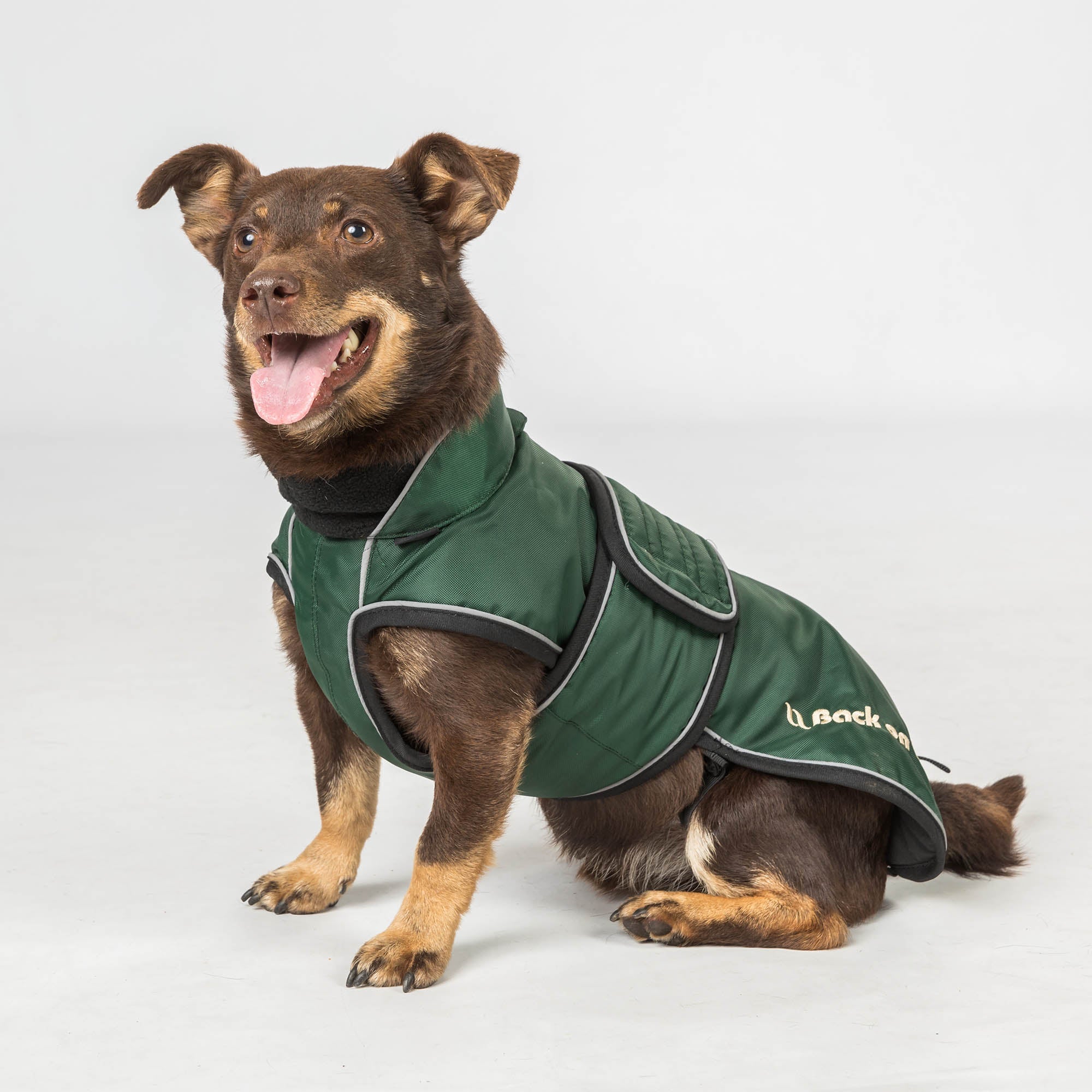 "Buddy" long dog coat